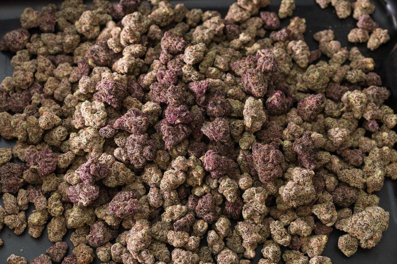 Chris O'Ferrell Luca Boldrini Cannabis Cultivation Grow Consulting Marijuana