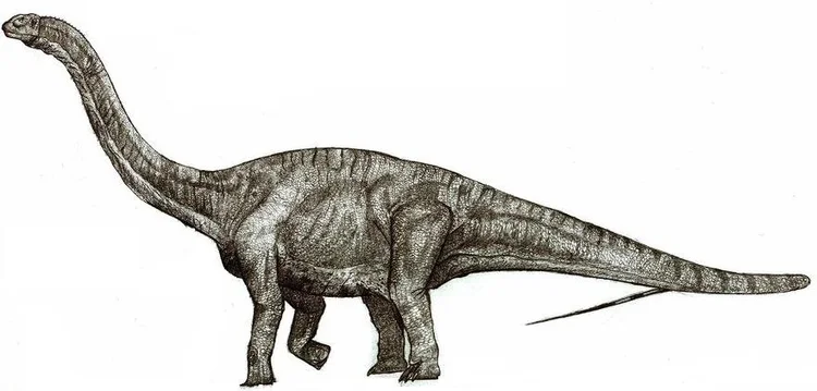 Turiasaurus — DinoDen