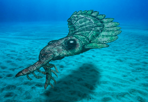 Pytoia Peytoia — DinoDen