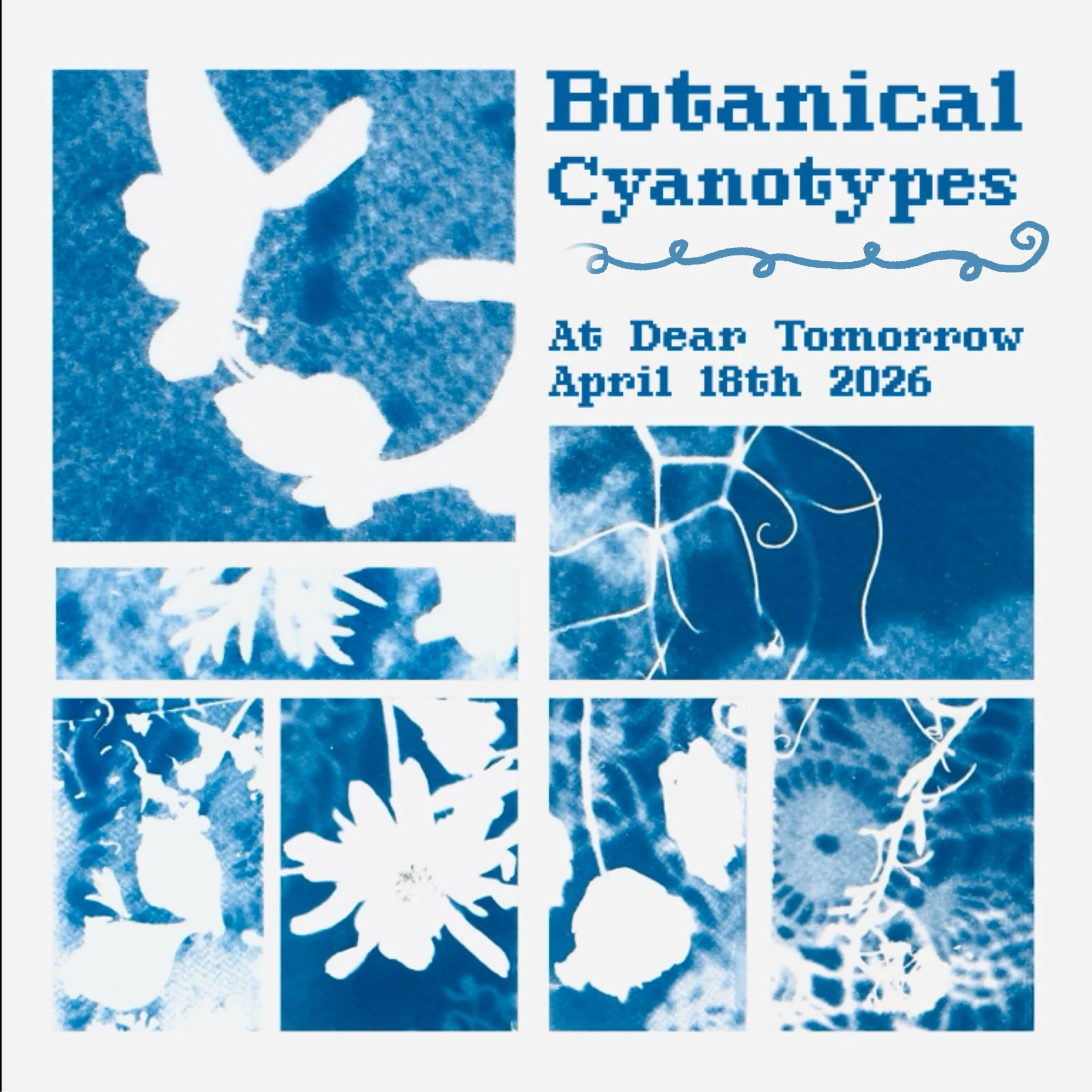 IMG_0017 - Olivia Gastaldo.jpeg