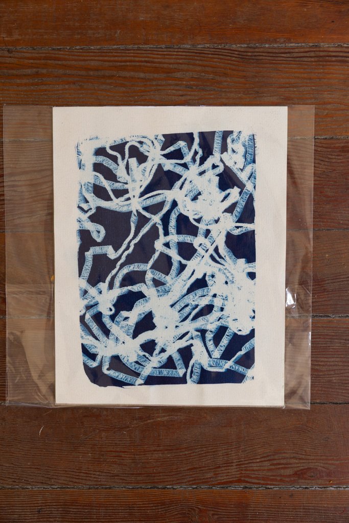 Olivia Galstado - Cyanotype #3