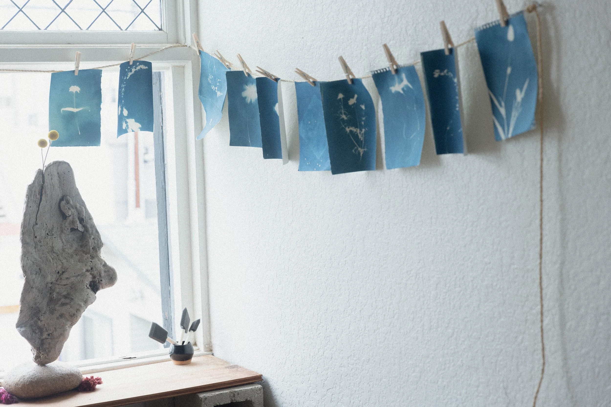 Cyanotype.-2.jpg