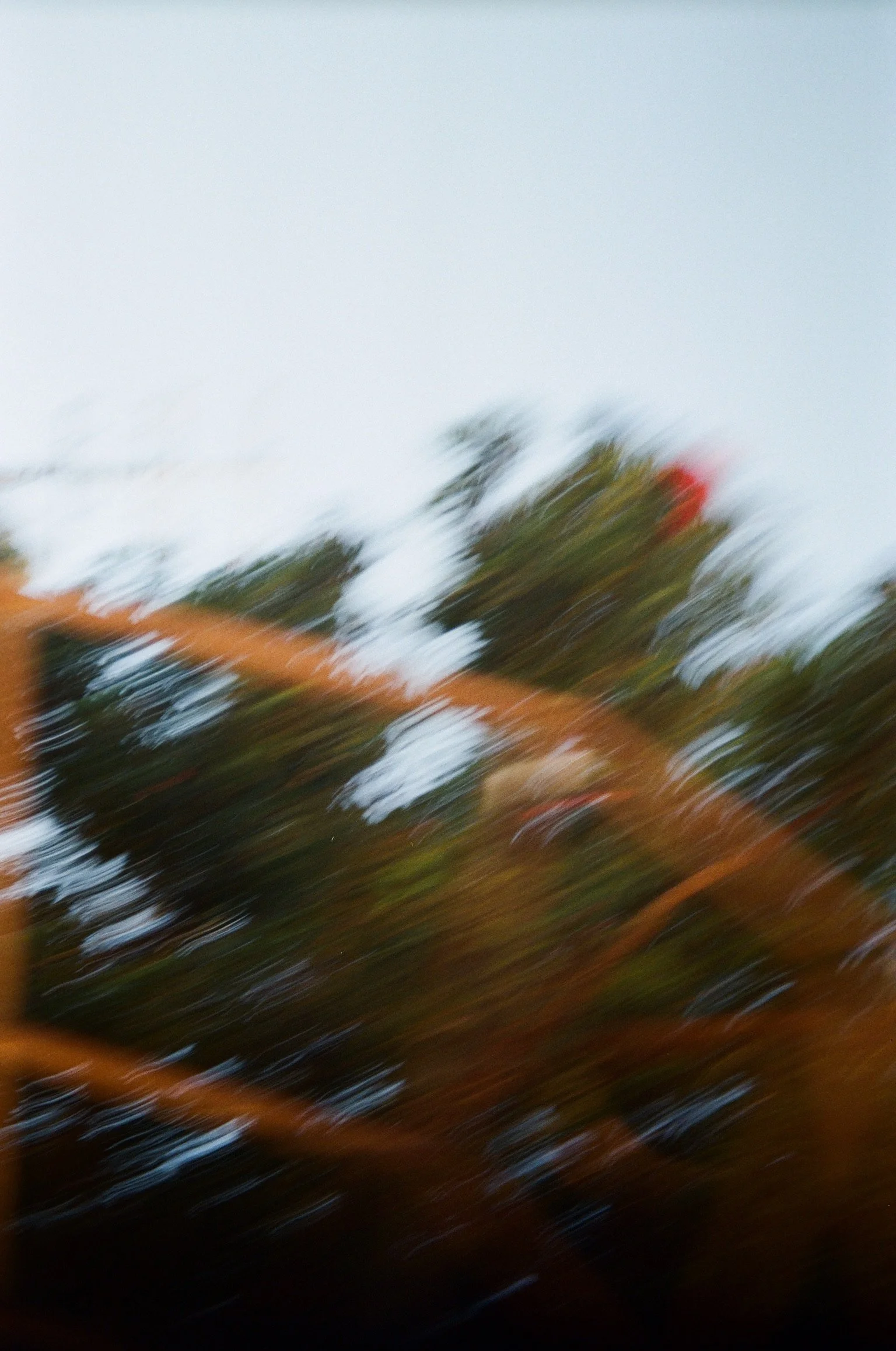 D653C11B-A71B-470C-B683-D6303743D8D2.JPG