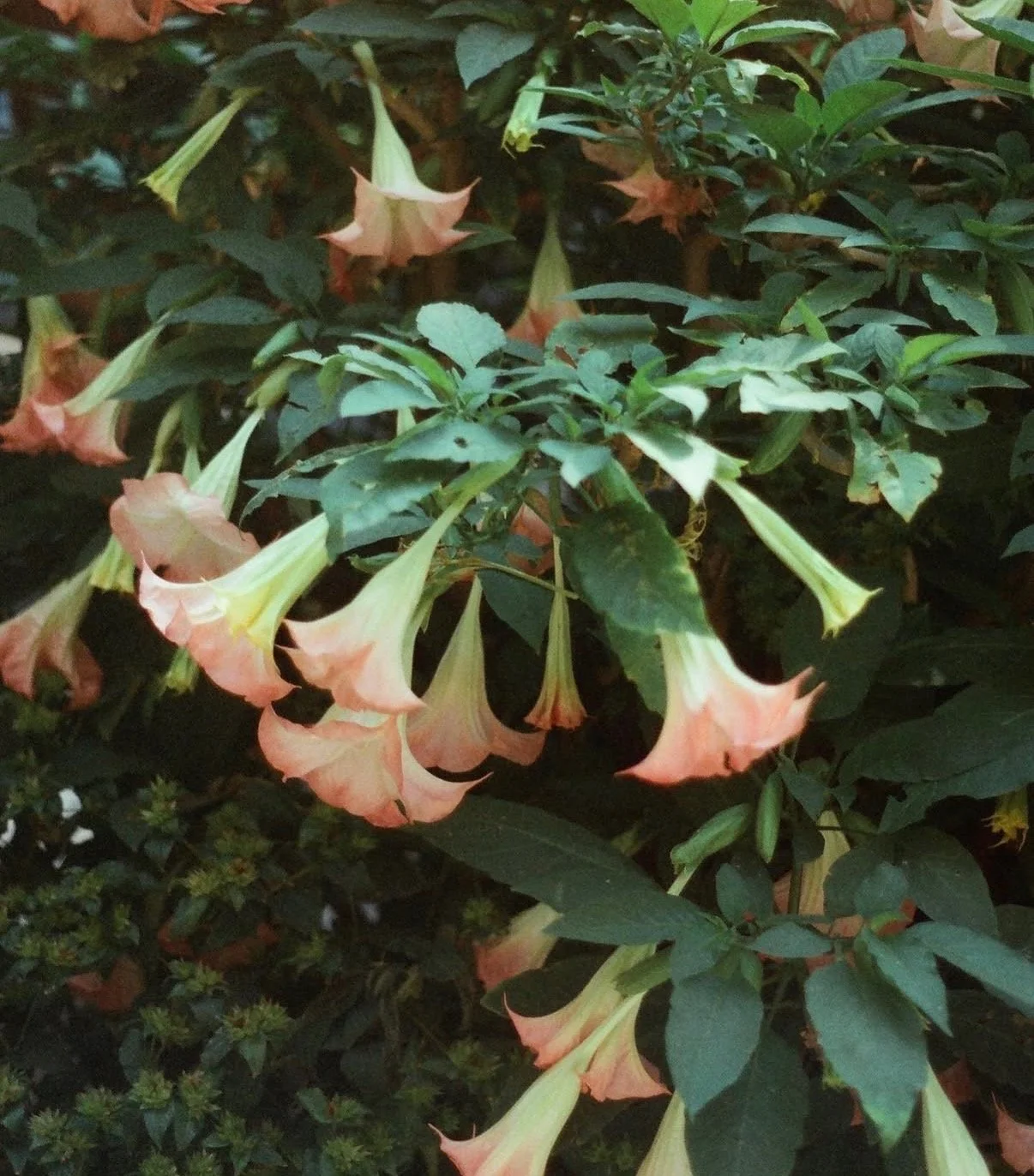 Writing Renewal - Tue 3/17