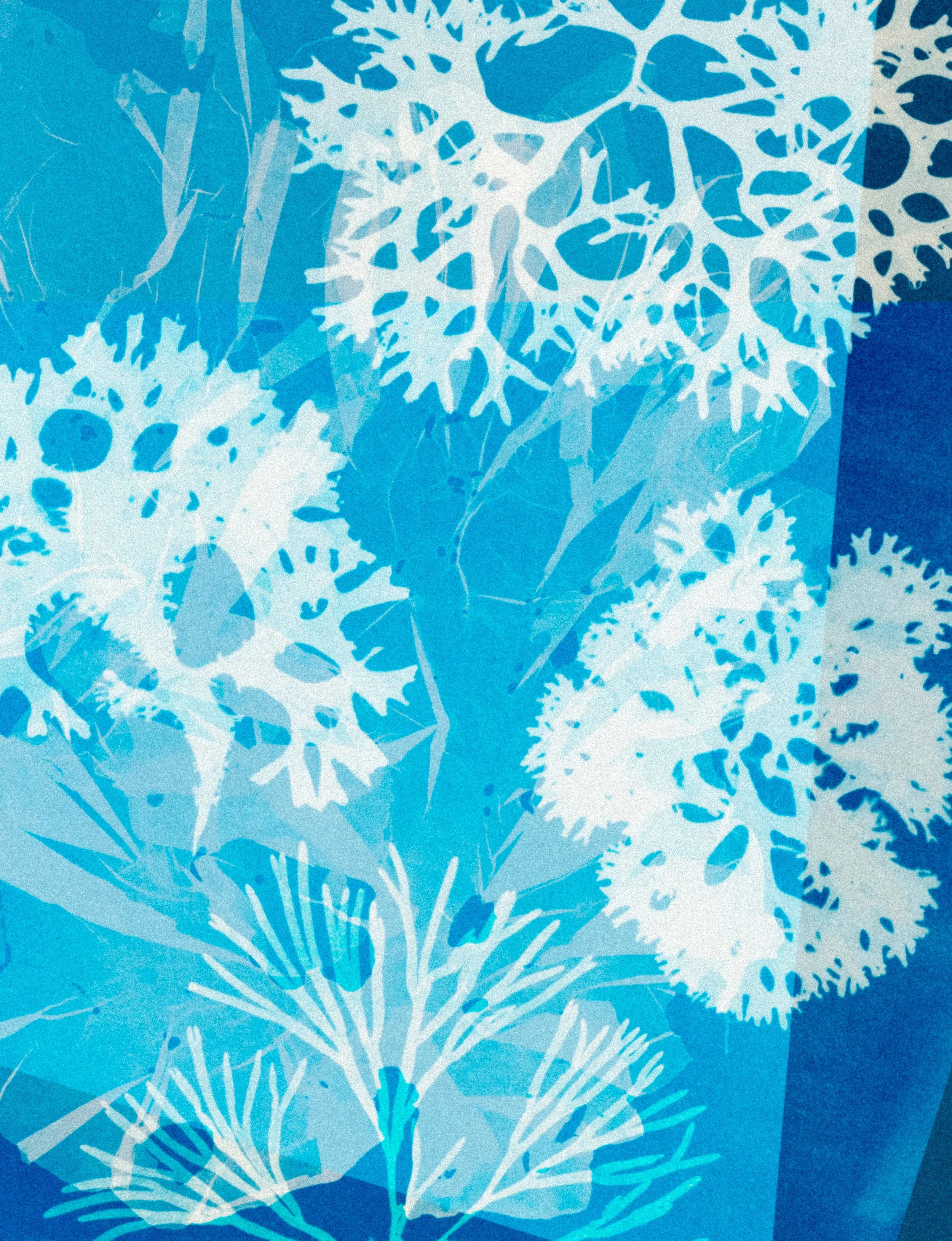 Walk, Find, Print: Coastal Cyanotypes - Sat 3/28