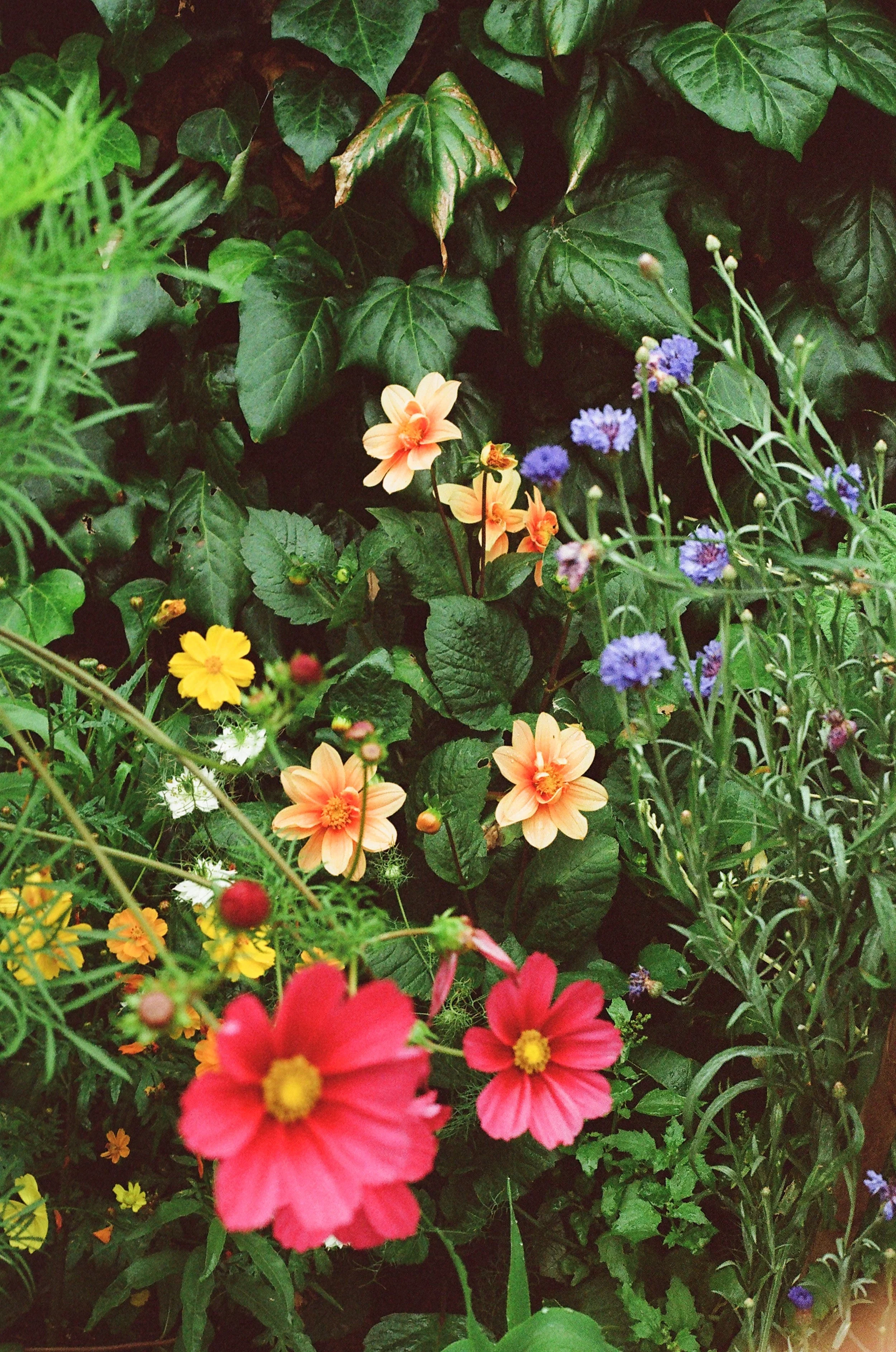 Writing Love - Mon Feb 9th