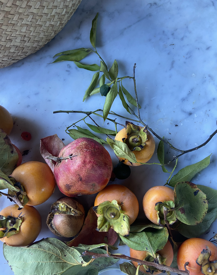 Writing Food and Flavor  - Tue, 8/11