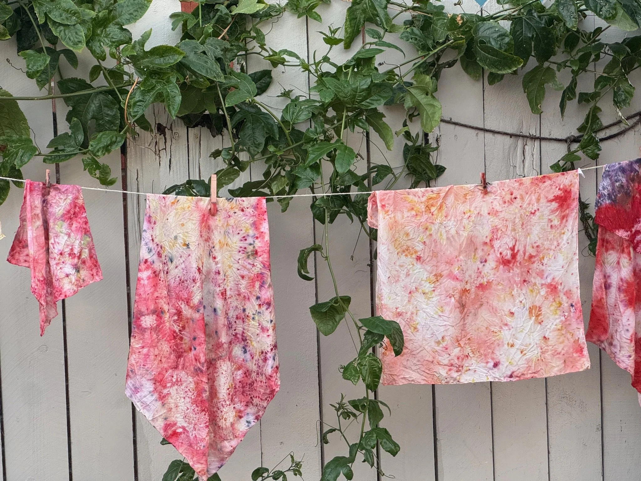 Botanical Bundle Dye Workshop - Sun 4/19