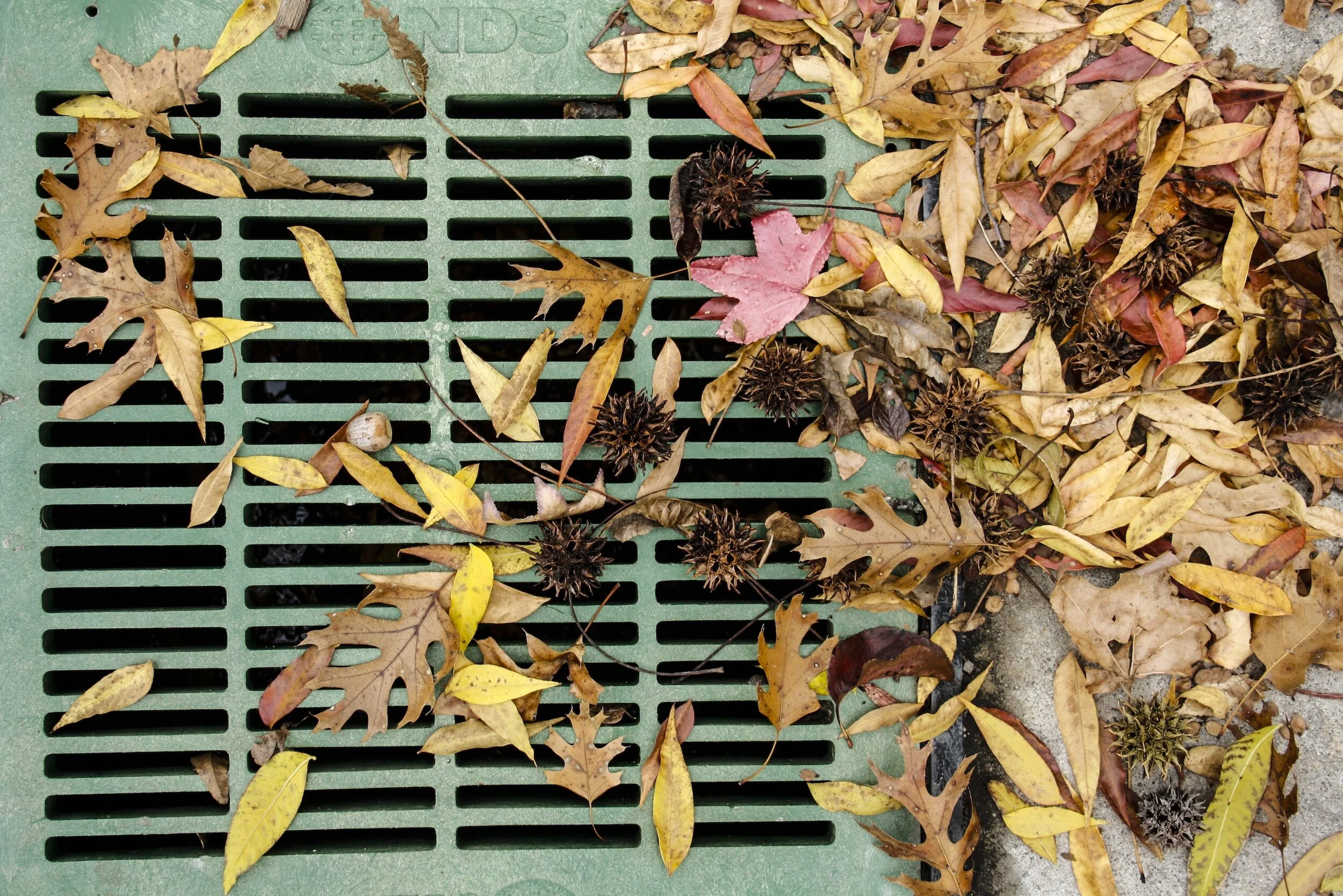 A Beginner's Guide to Drainage Pathways