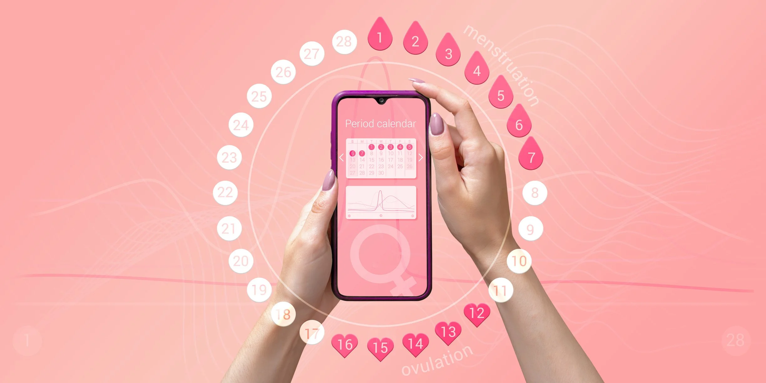 What is Basal Body Temperature (BBT) and Why Track it ?