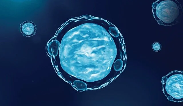 Blastocystis Hominis 3D illustration