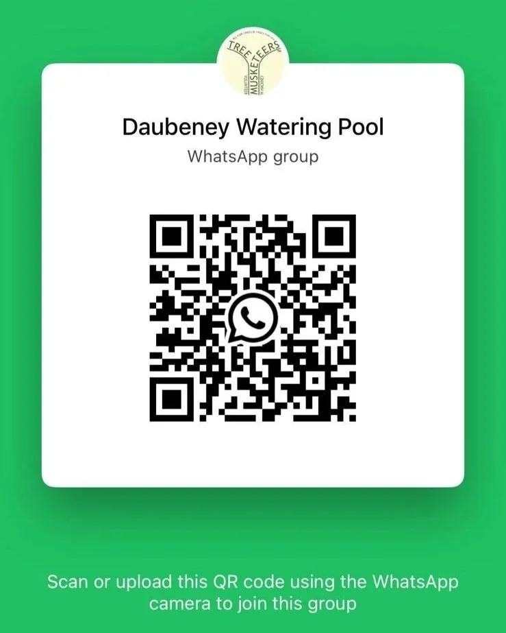 Daubeney Watering Pool