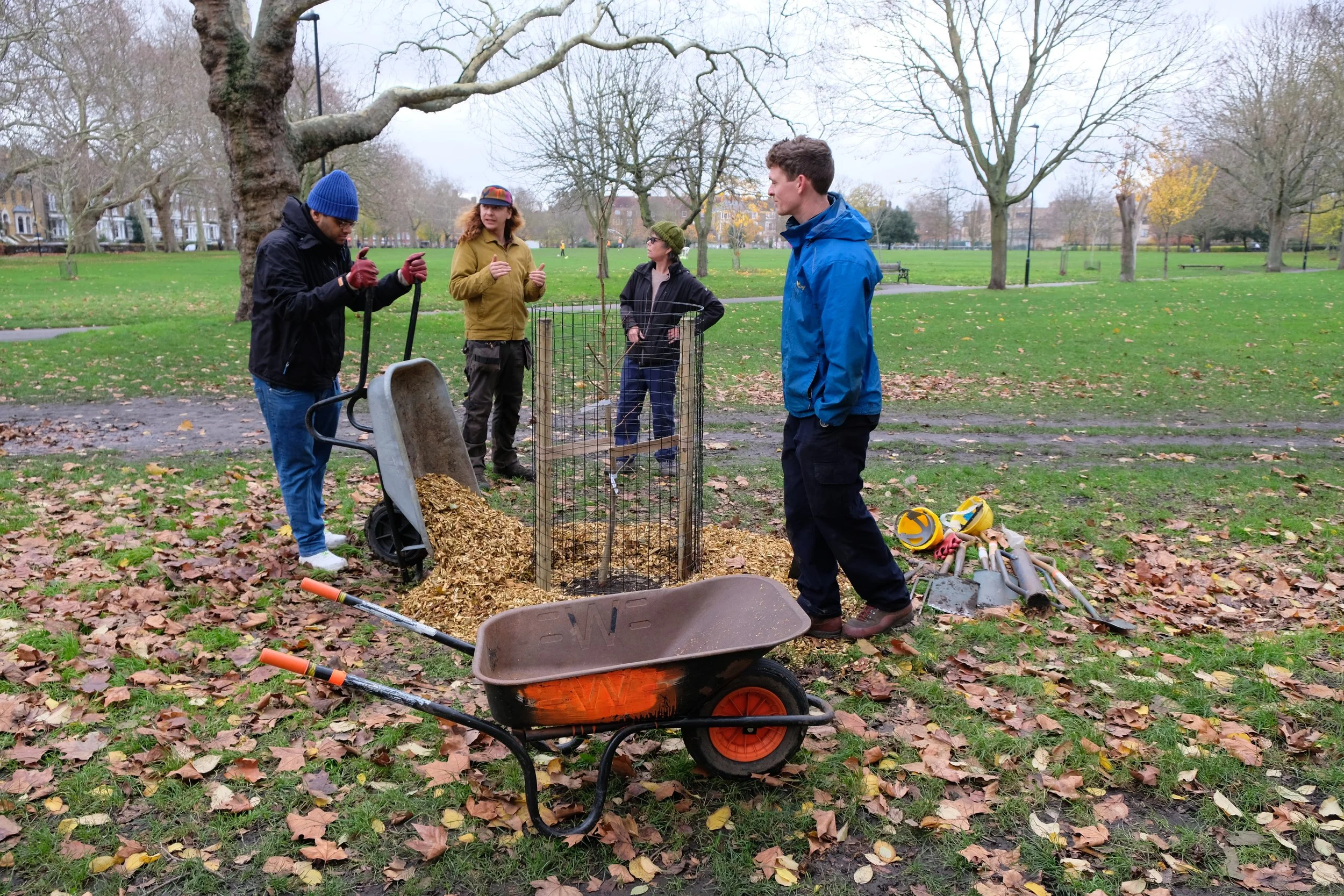 four volunteers are pictured planting a tree. they are wearing coats and hats, one person is tipping mulch out of a wheelbarrow around a newly planted tree on hackney downs