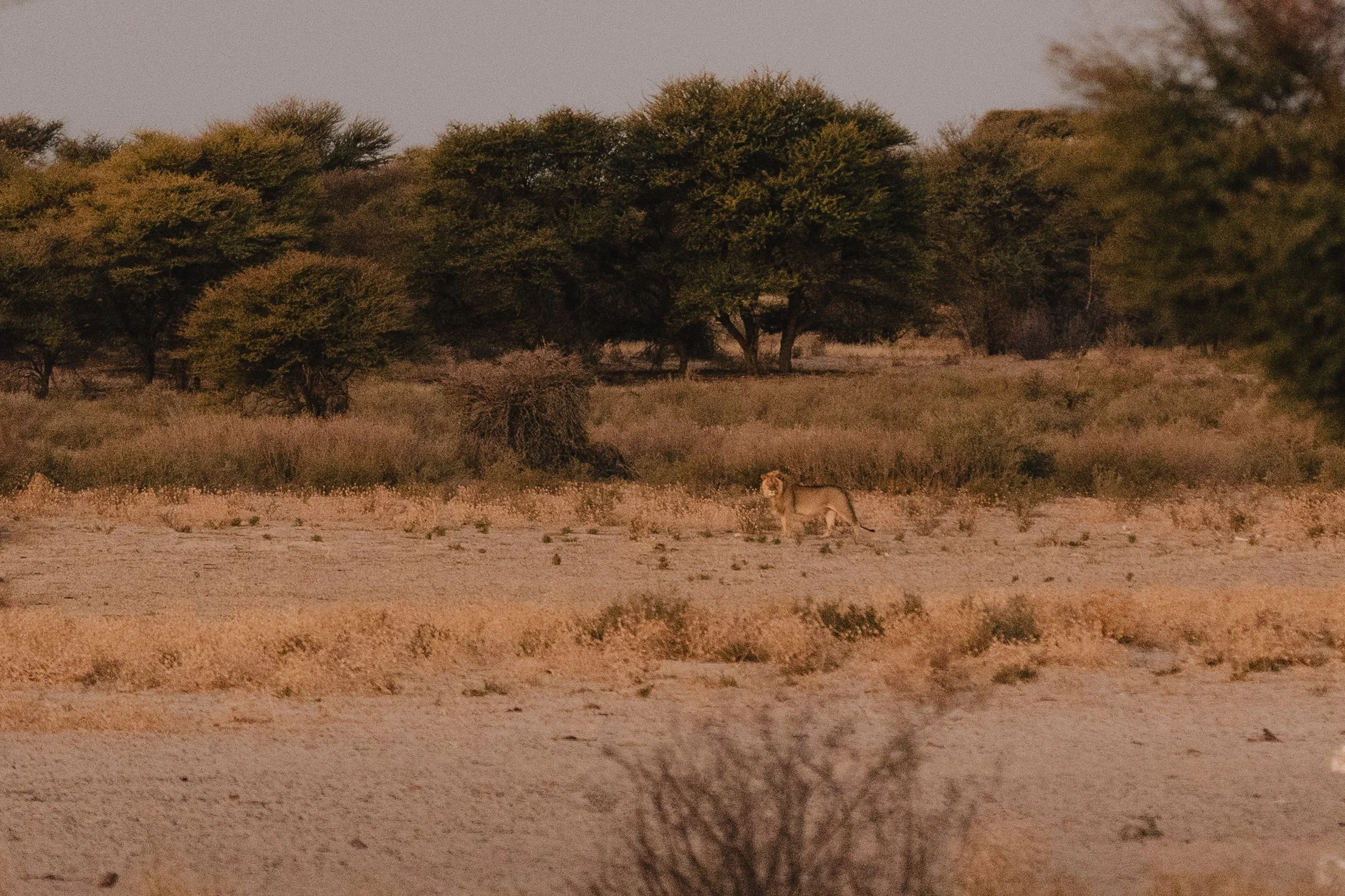 ML0A9308.jpg
