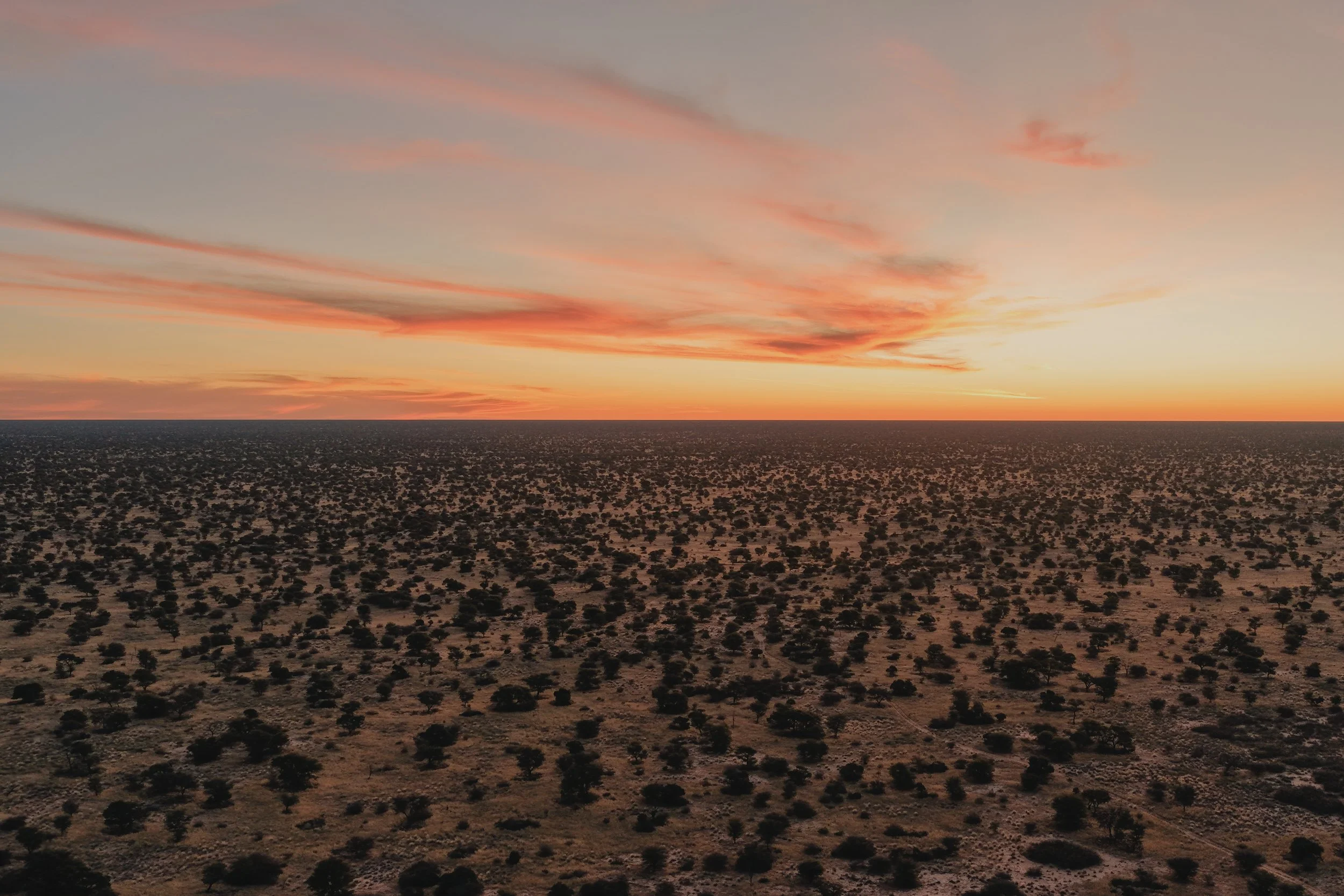 DJI_20250808182425_0038_D.jpg