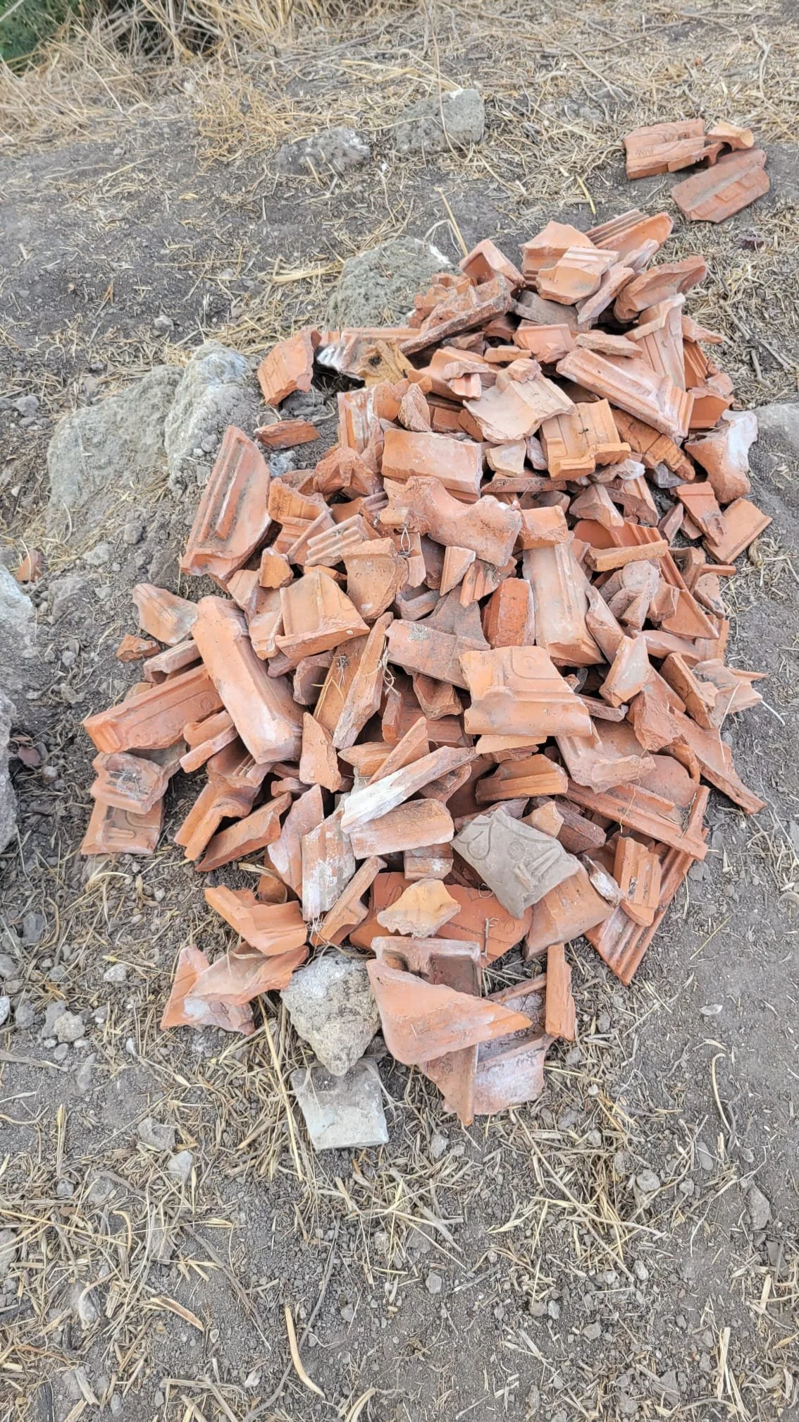 WhatsApp Image 2023-08-17 at 08.02.15.jpg