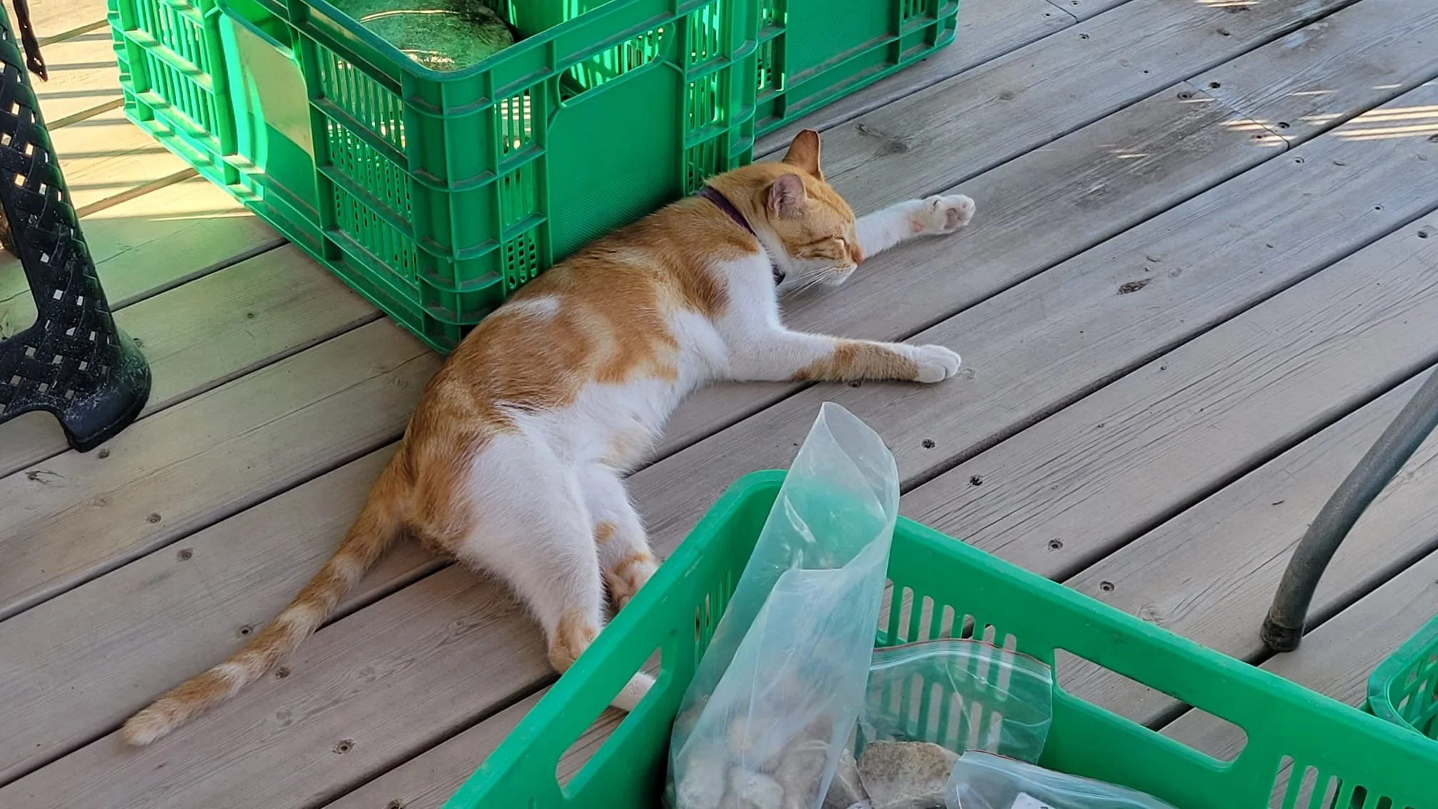 WhatsApp Image 2023-08-17 at 08.02.18.jpg