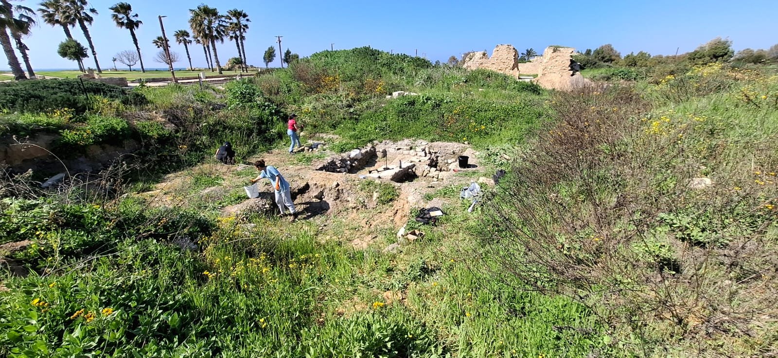 WhatsApp Image 2025-04-11 at 3.35.30 PM.jpeg