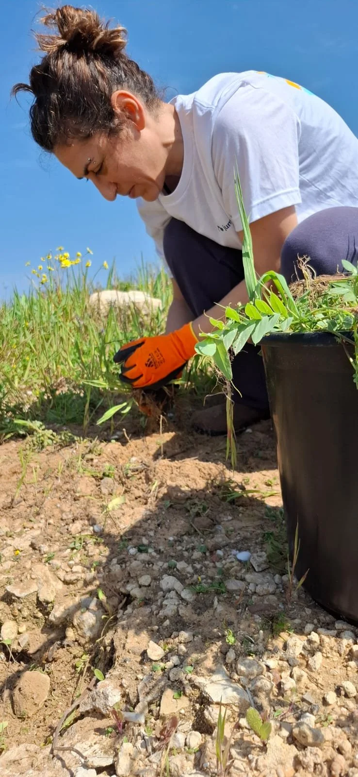 WhatsApp Image 2025-04-11 at 3.36.38 PM.jpeg