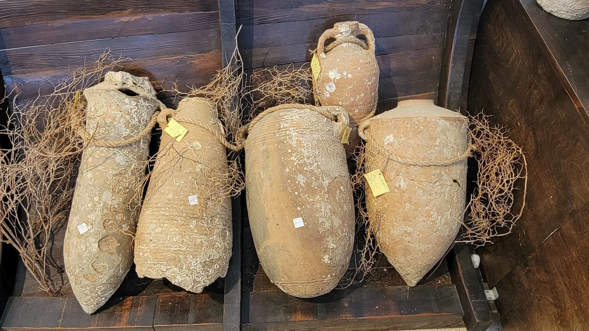 WhatsApp Image 2023-08-17 at 08.02.09kkh.jpg