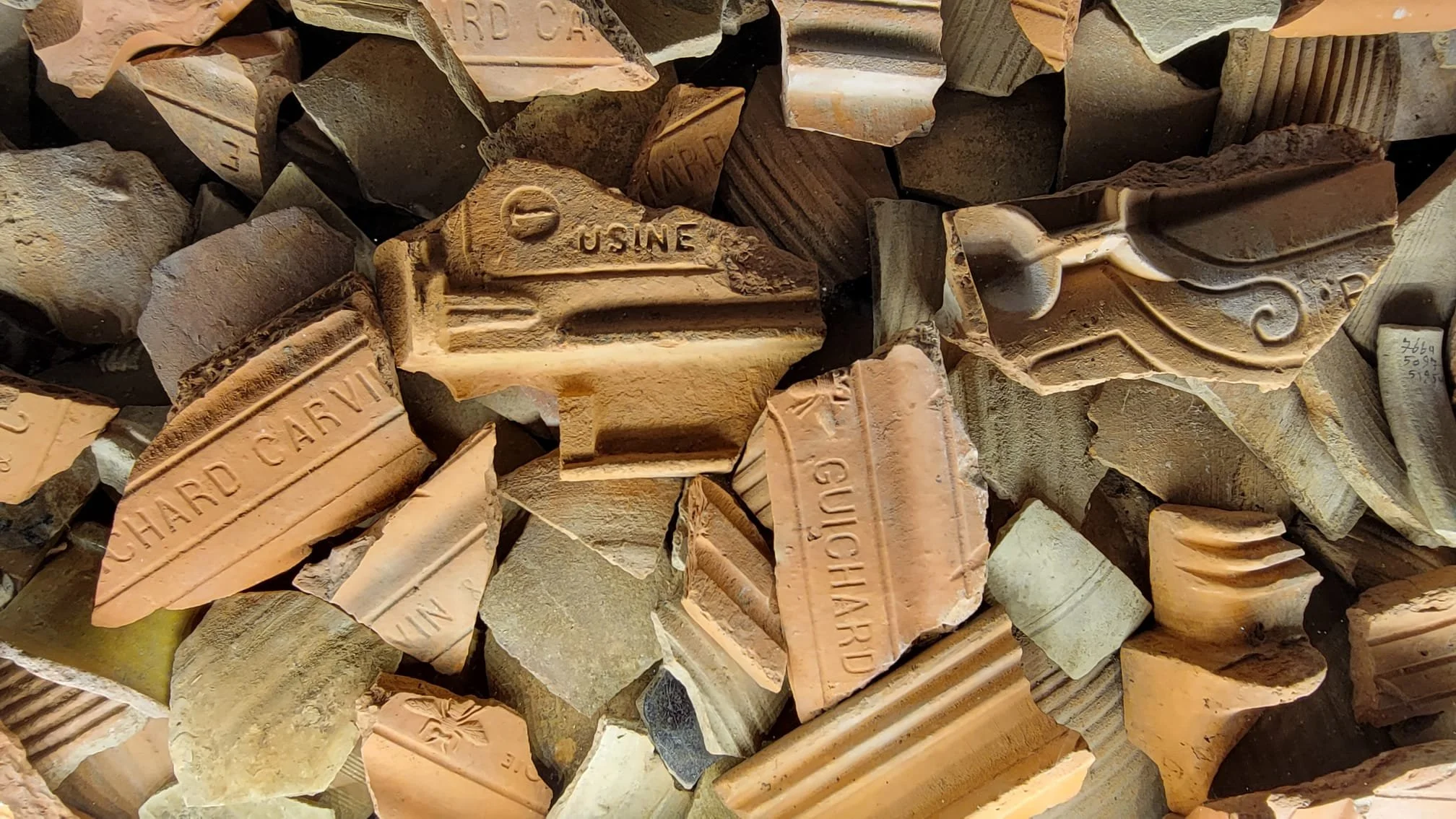 WhatsApp Image 2023-08-17 at 08.02.13asdf.jpg