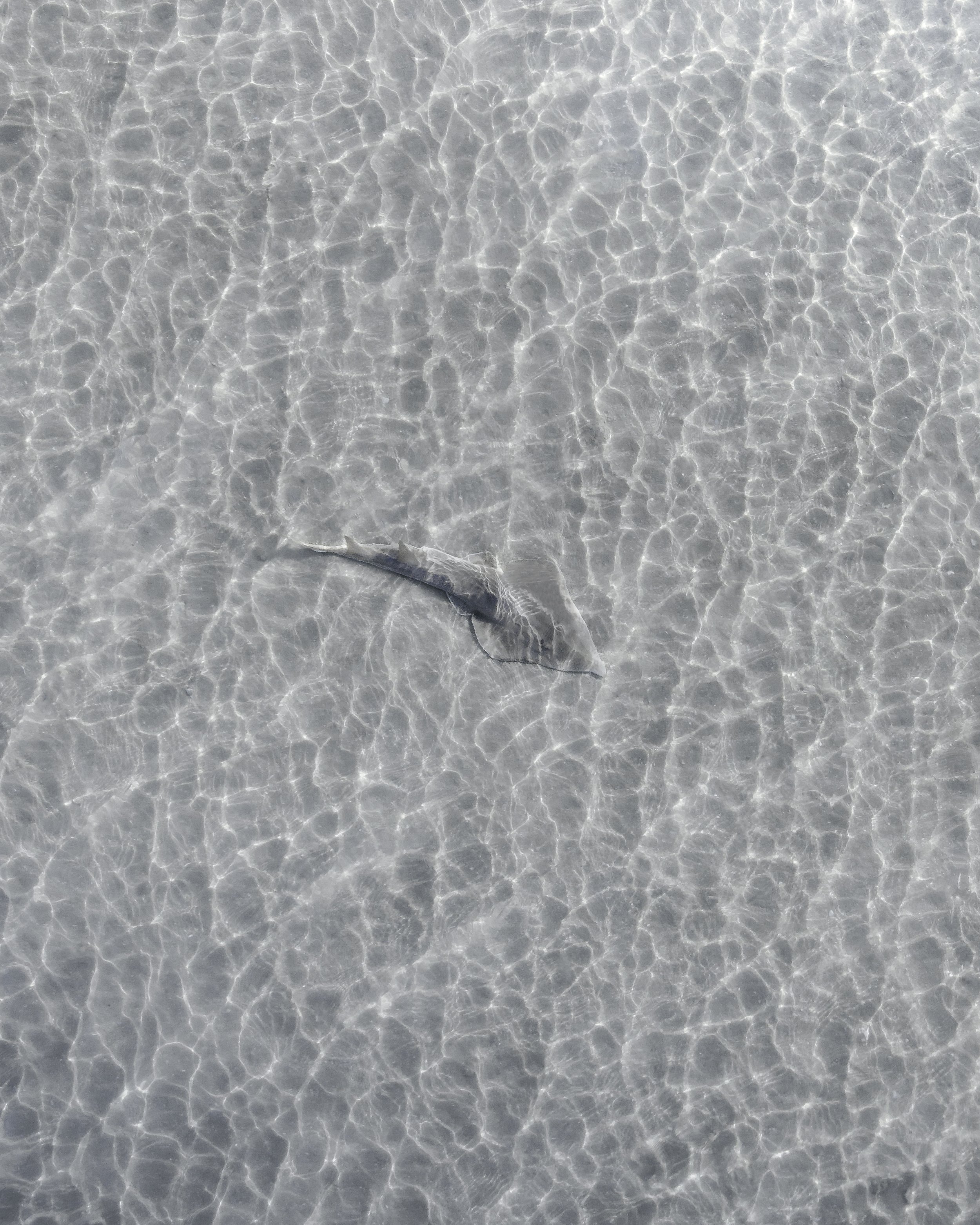 FM 0029.jpg