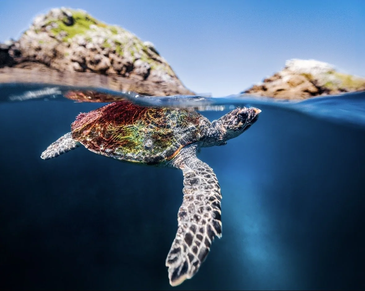 FM 0123 - Surface to Seafloor