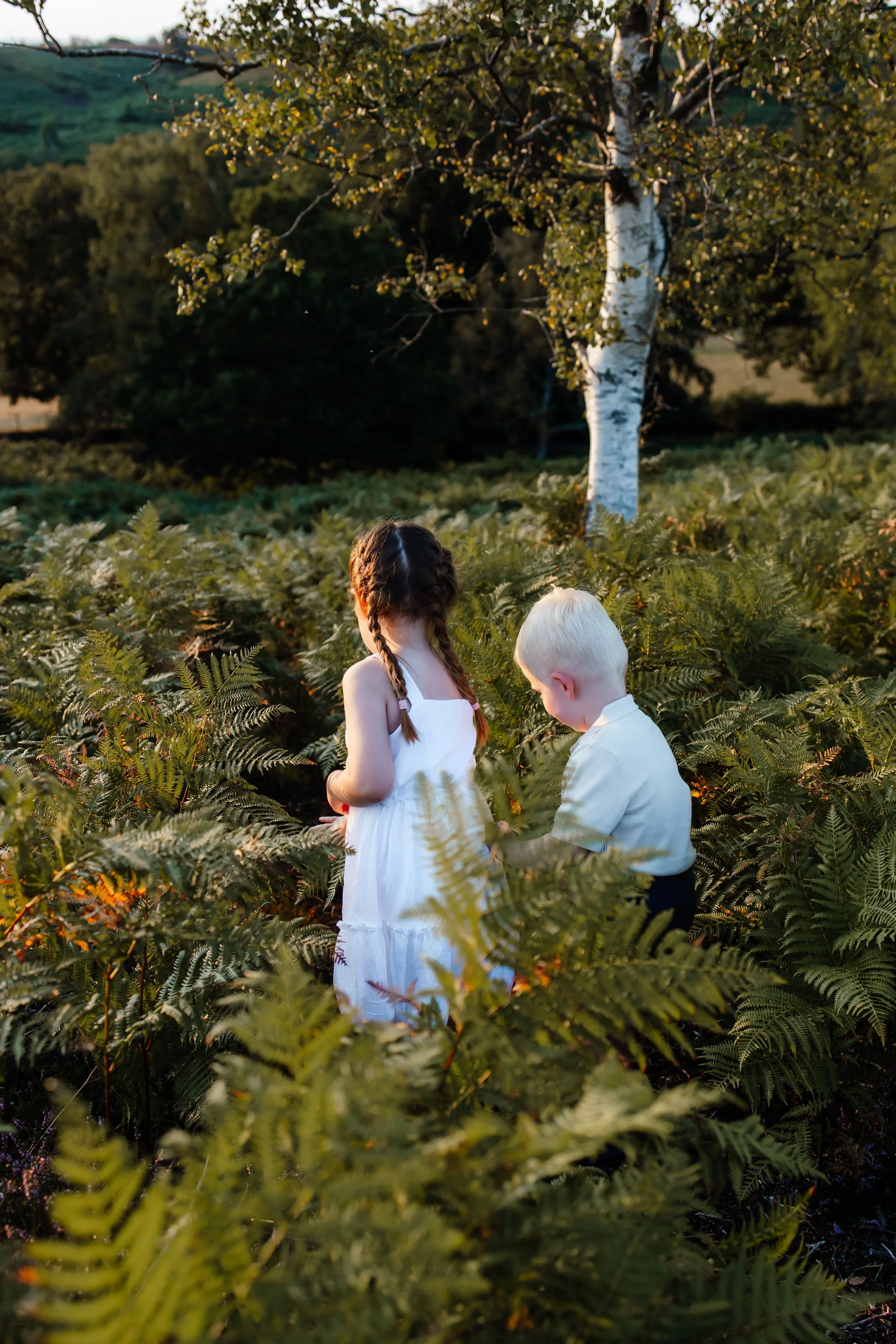 Siblings playing in New Forest ferns