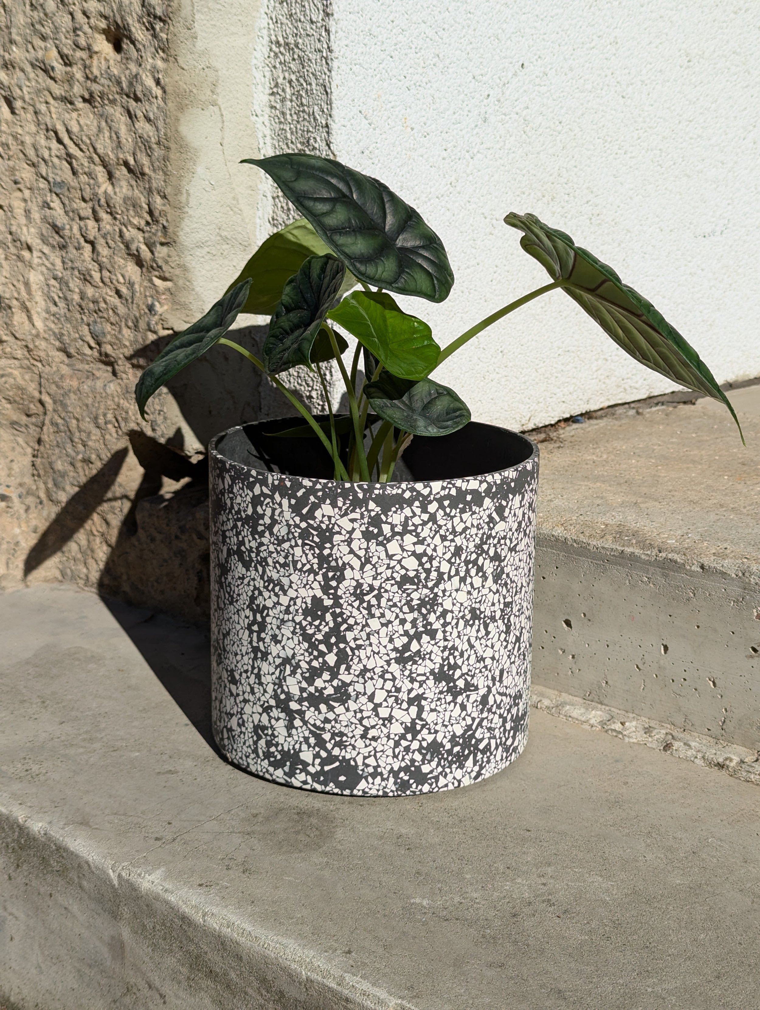 PLANT POT schwarzweiß Ø 20 cm