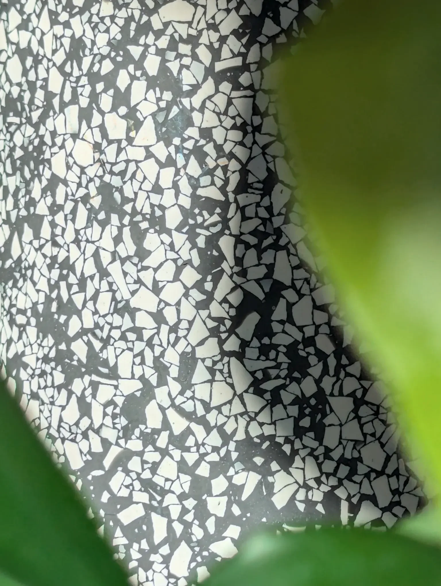 Studio Wahoo_Plant Pot-Terrazzo-schwarzweiß-Unikat-02.webp
