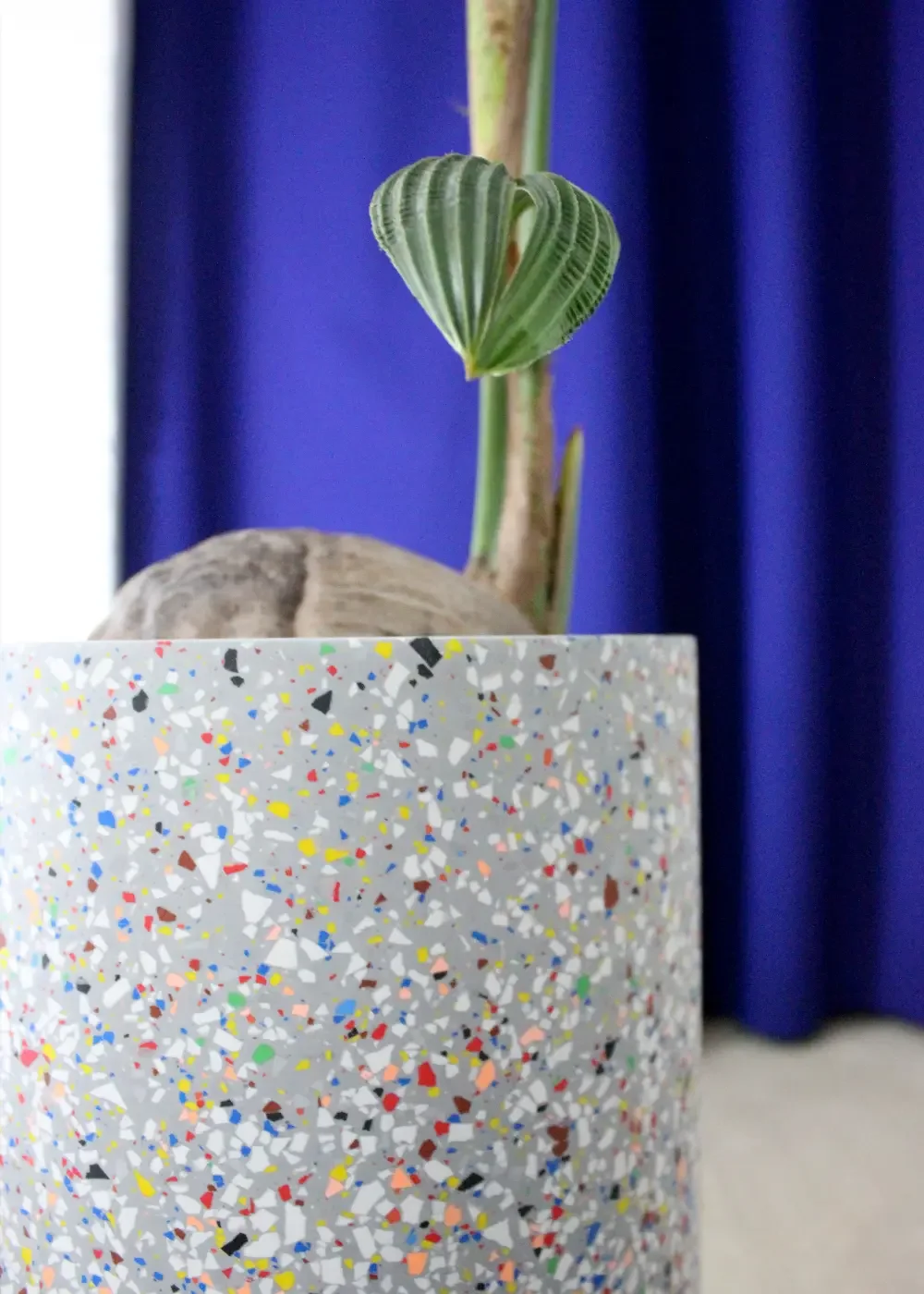 PLANT POT „Konfetti“ (Ø 20 cm) – handgefertigter Übertopf
