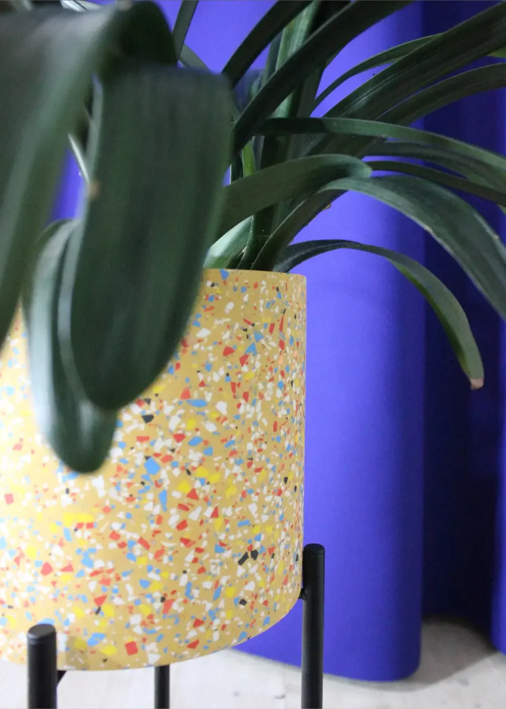 Studio-Wahoo-terrazzo-plant-pot-oxid-yellow-02.webp