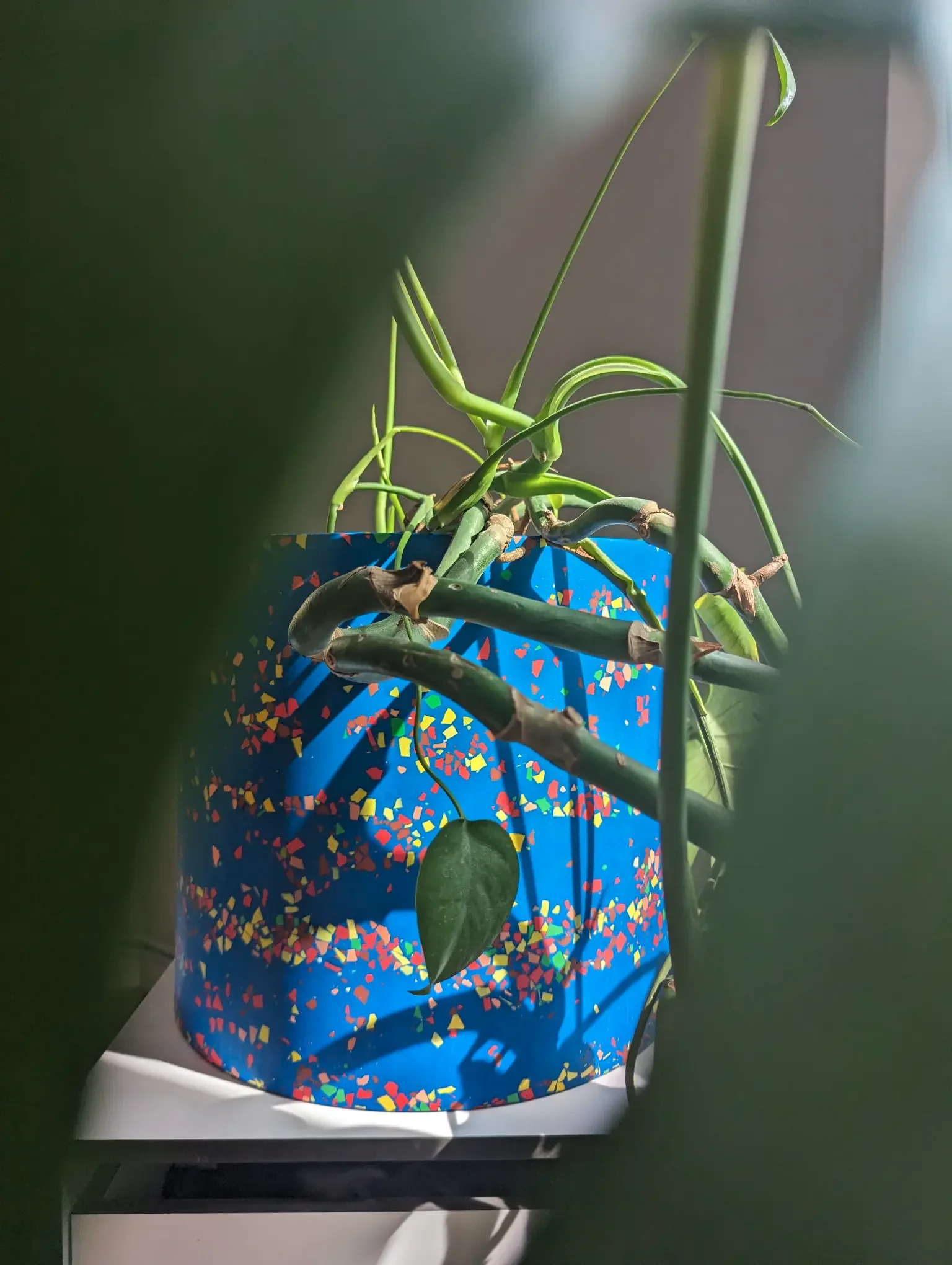 PLANT POT „Kobaltblau“ (Ø 33,5 cm) – handgefertigter Jumbo-Übertopf