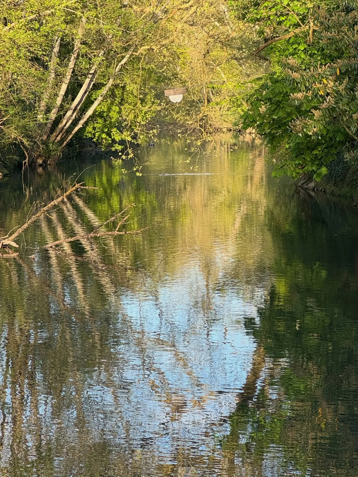 I&rsquo;ve been back home in the French country side for the last two weeks and nothing relaxes and inspires me more than looking out at the water at sunset. Our house is an old mill house, just on the edge of water, perhaps that&rsquo;s why water is