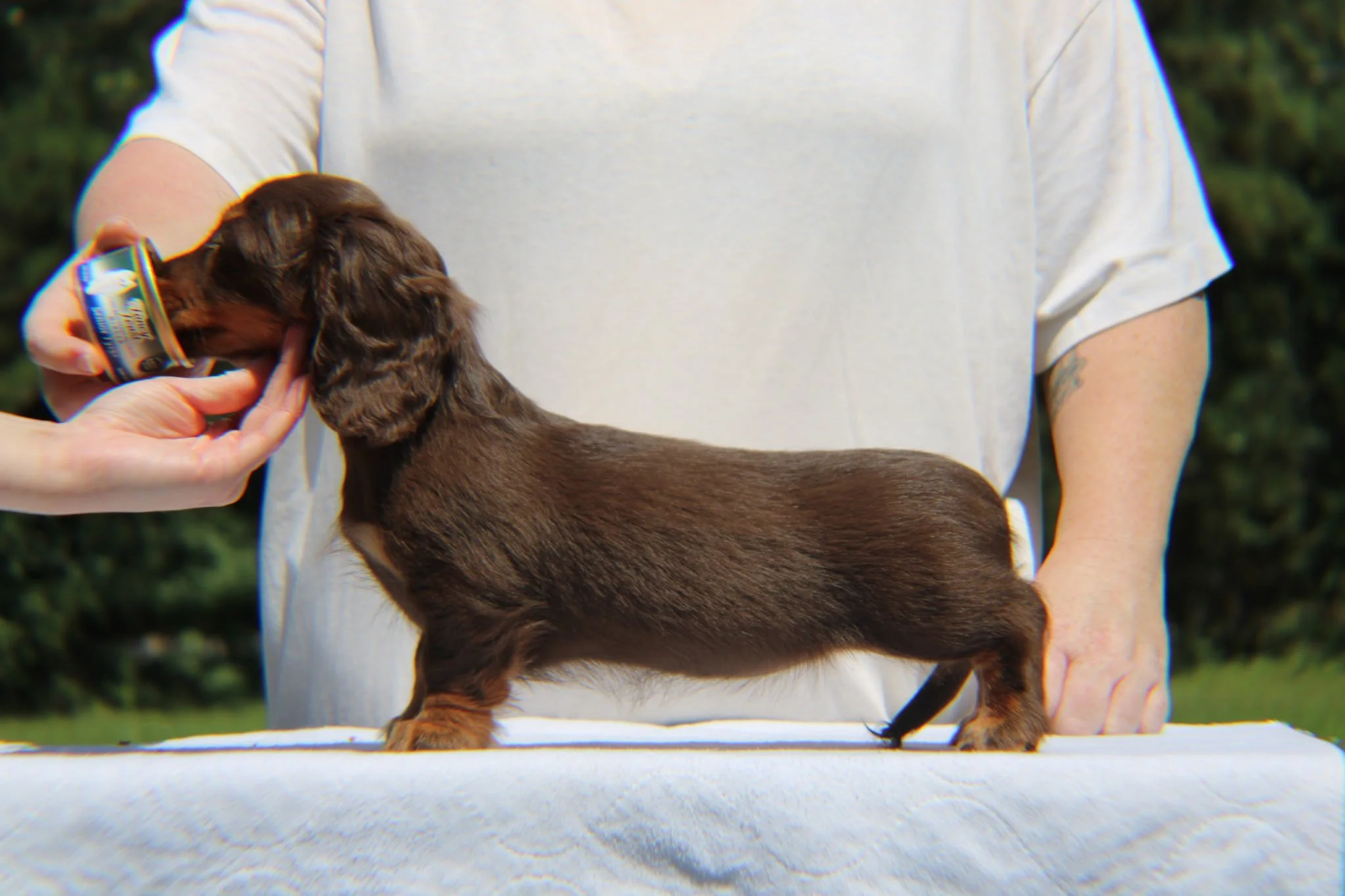 Tasha side photo.jpg
