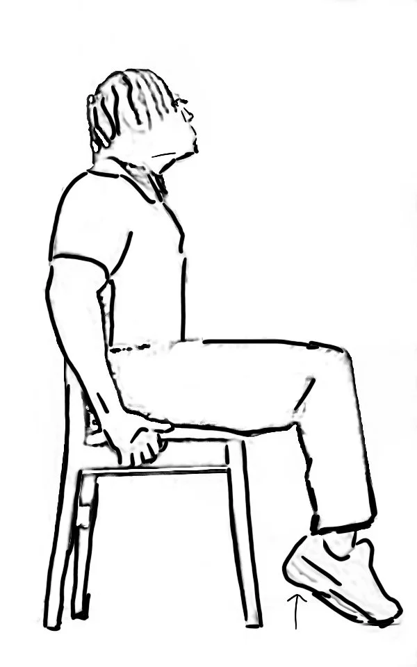 Seated Heel Raises Treadwell DPT.JPG
