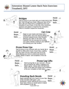 Lower Back Pain Physical Therapy Home Exercise Program PDF — Treadwell, DPT