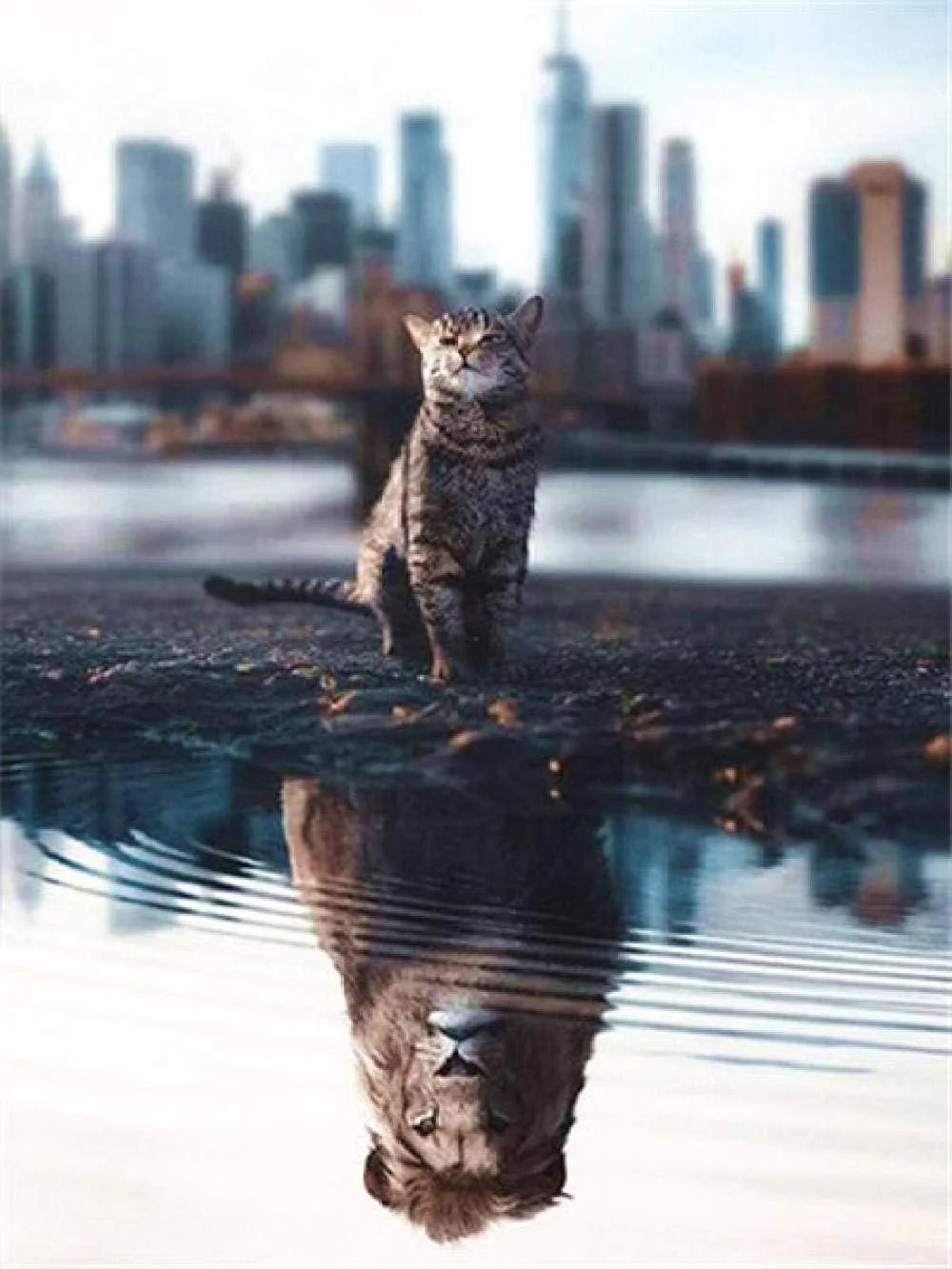 Rewrite Your Story