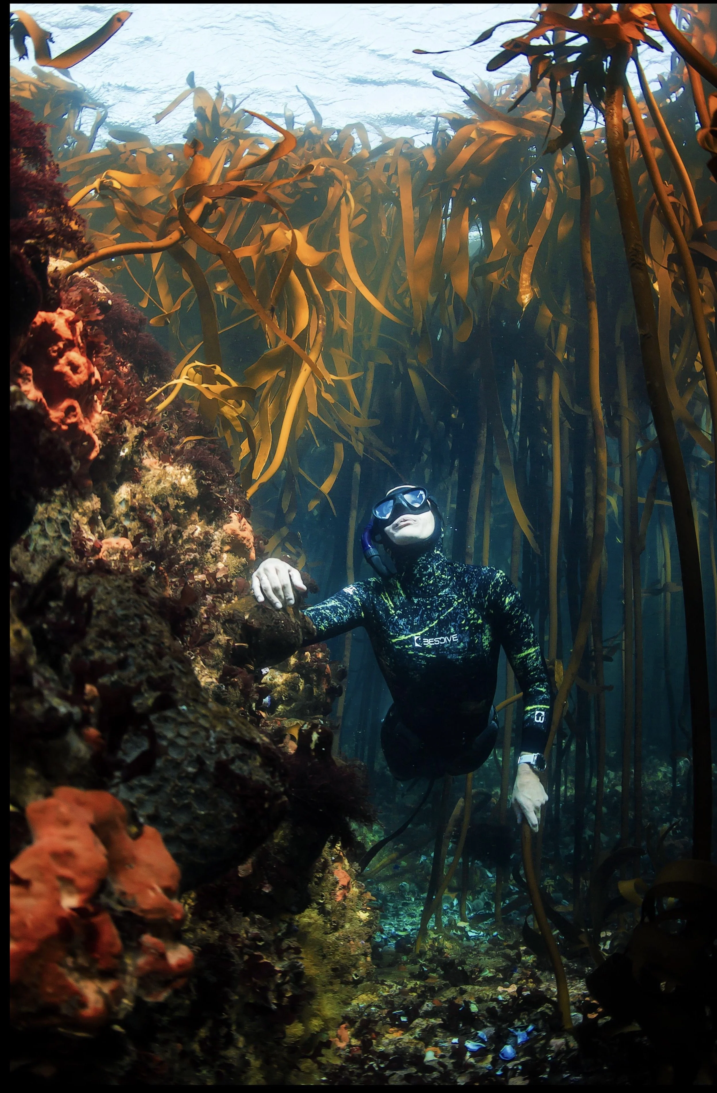 Underwater Photography Snorkel or Freedive