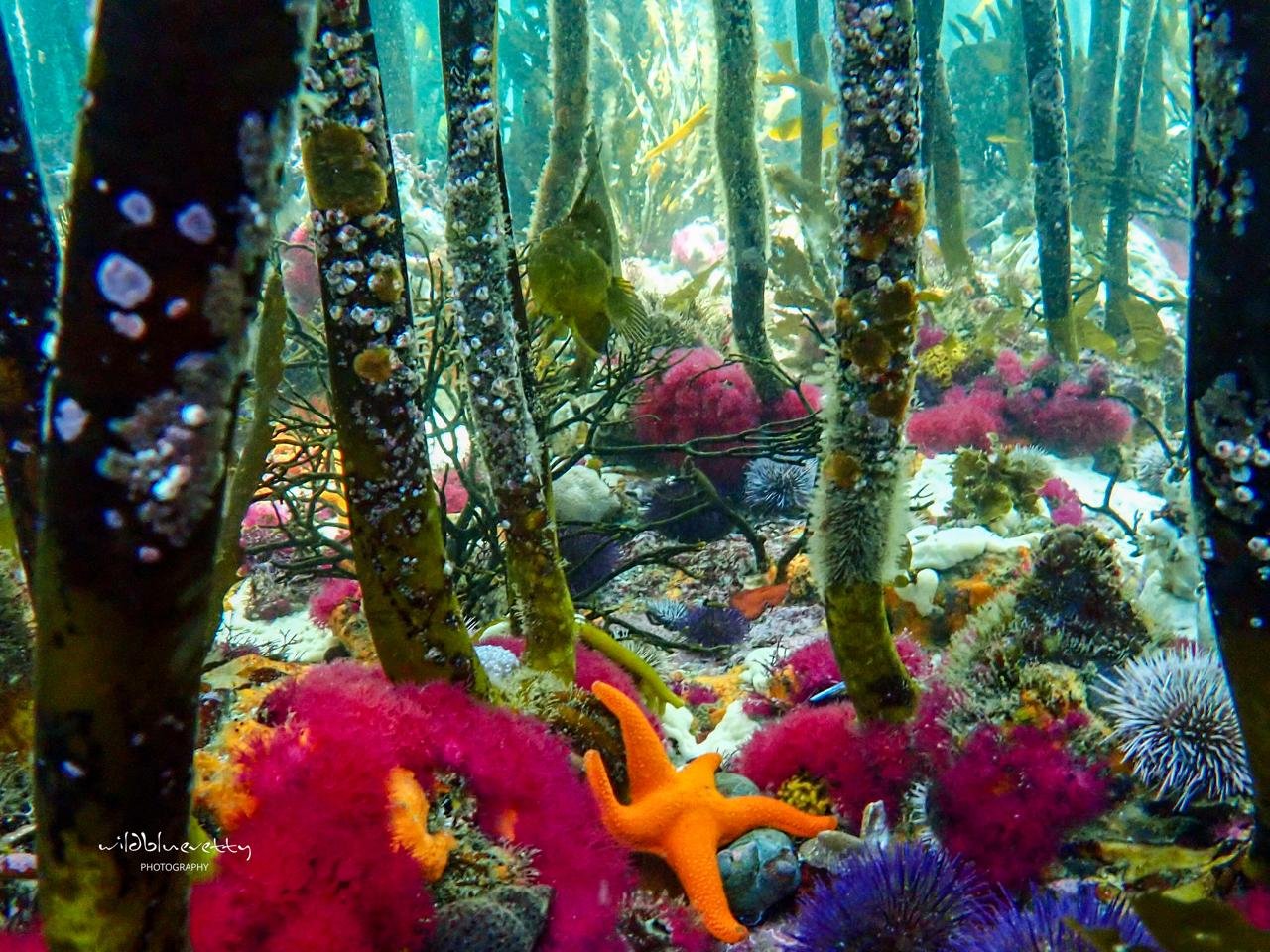 WhatsApp Image 2025-04-10 at 09.42.51.jpeg