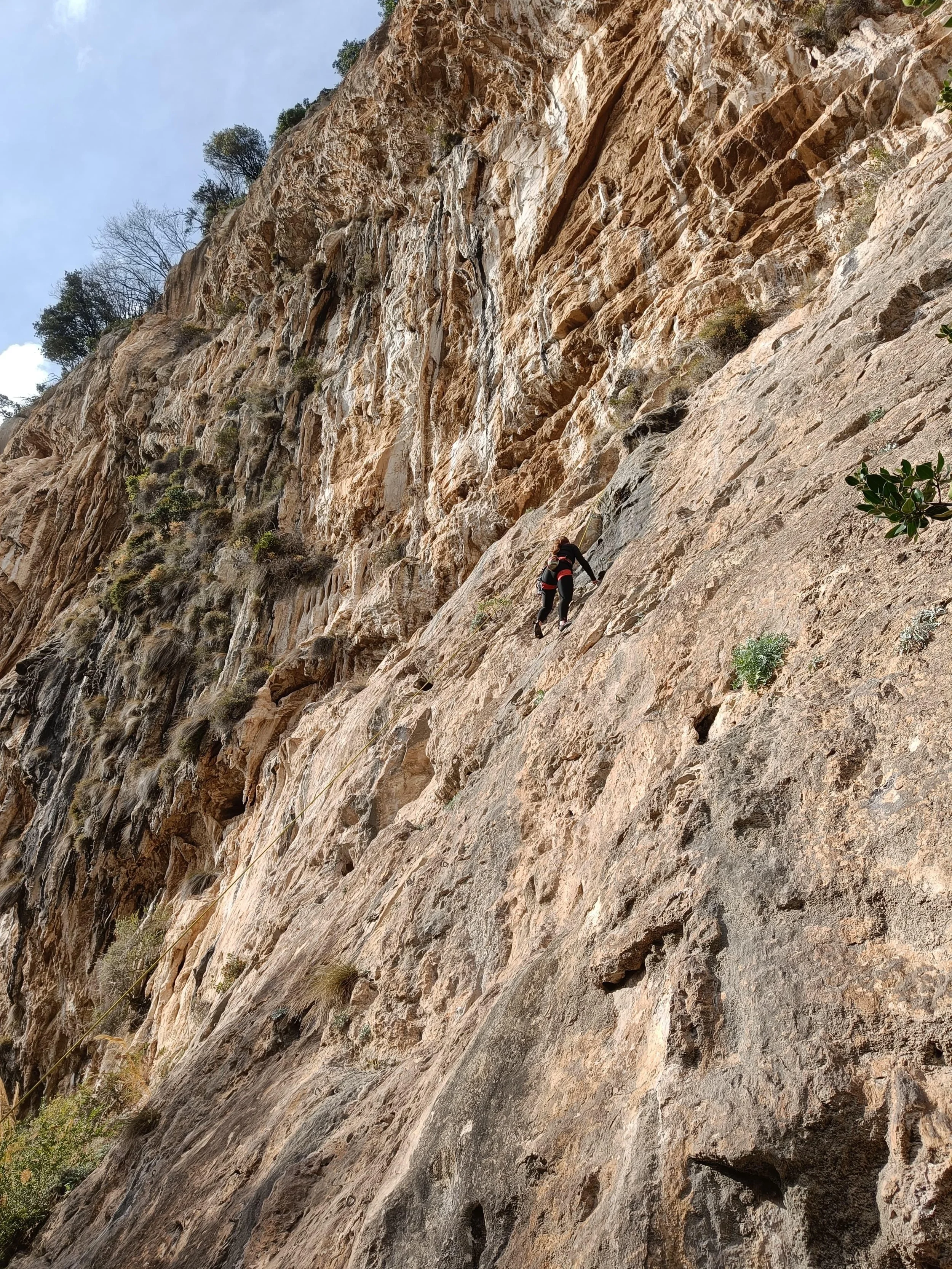 Il paretone positano.jpeg