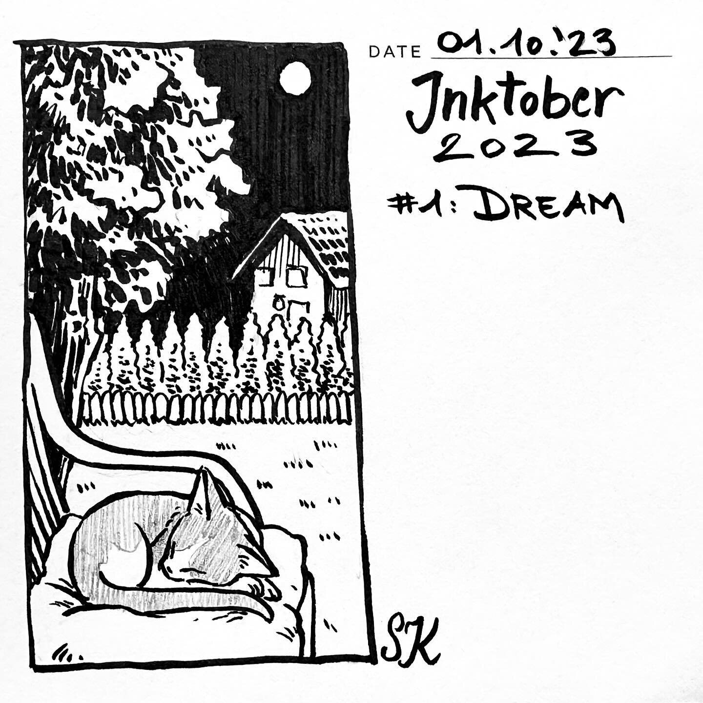 #inktober is here! And I nearly missed the first deadline, oh boy XD 
The first prompt is #dream. A few nights ago I discovered my sweet cat Penny sleeping on our porch. I put some cushions on our garden chairs and she stayed there for about two hour