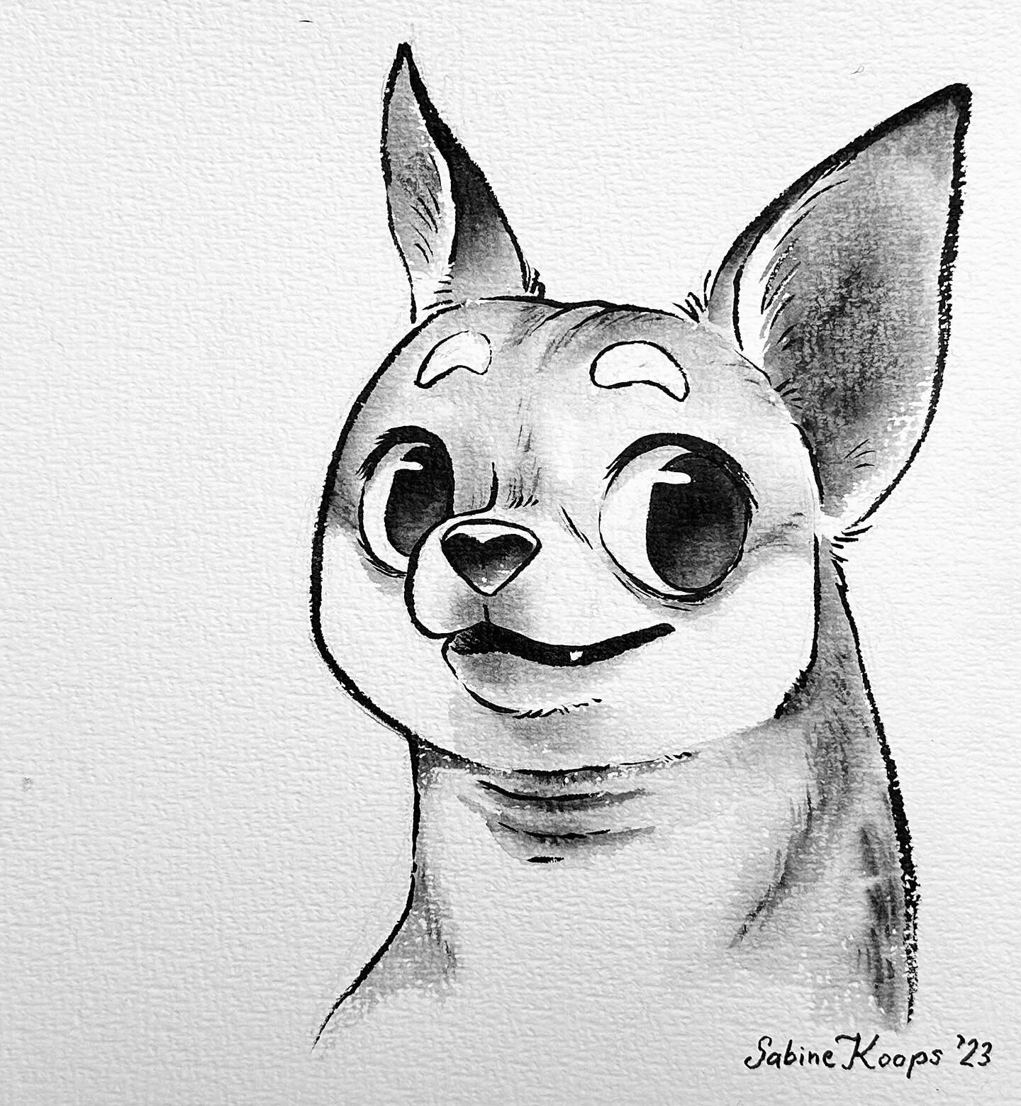 Inktober #4: dodge.
Look, I made beautiful doge! Is my doge! Is cute!
&hellip;What do you mean, I didn&rsquo;t draw the right prompt? Maybe I wanted to&hellip; dodge it? 
😬

#inktober #inktober2023 #doge #dogememes #memes #dogportrait #cartoon #inkd