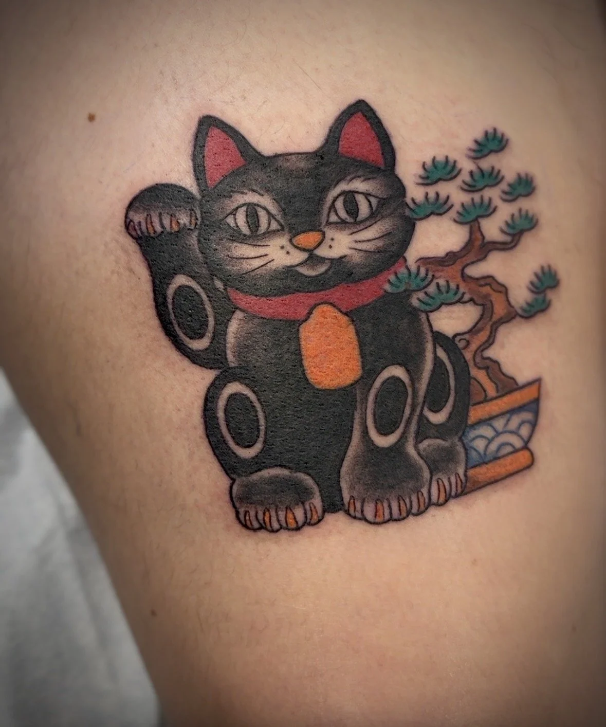 Moxie_Lucky_Cat.jpeg