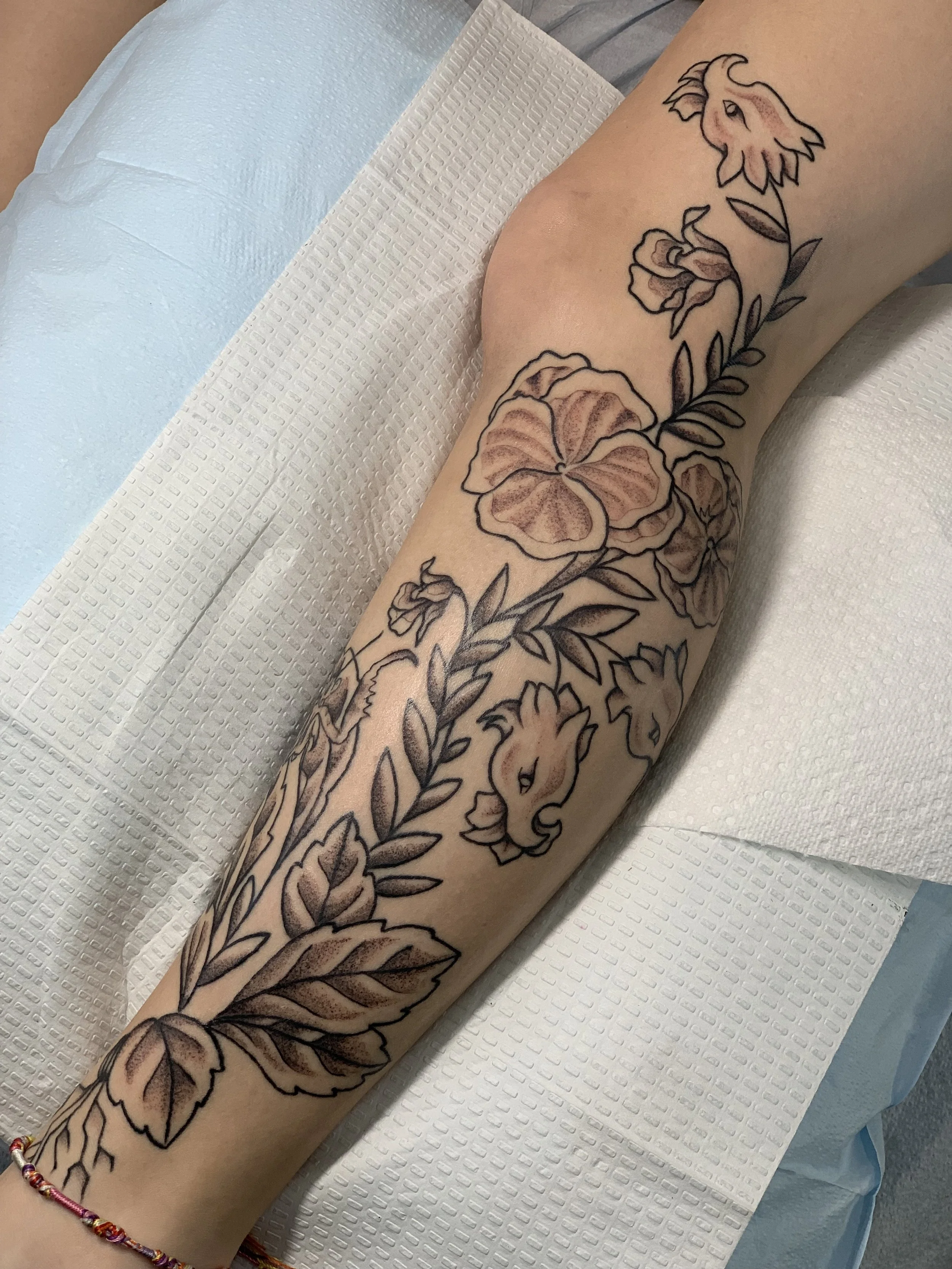 Illustrative_Dragon_flowers_leg.jpg