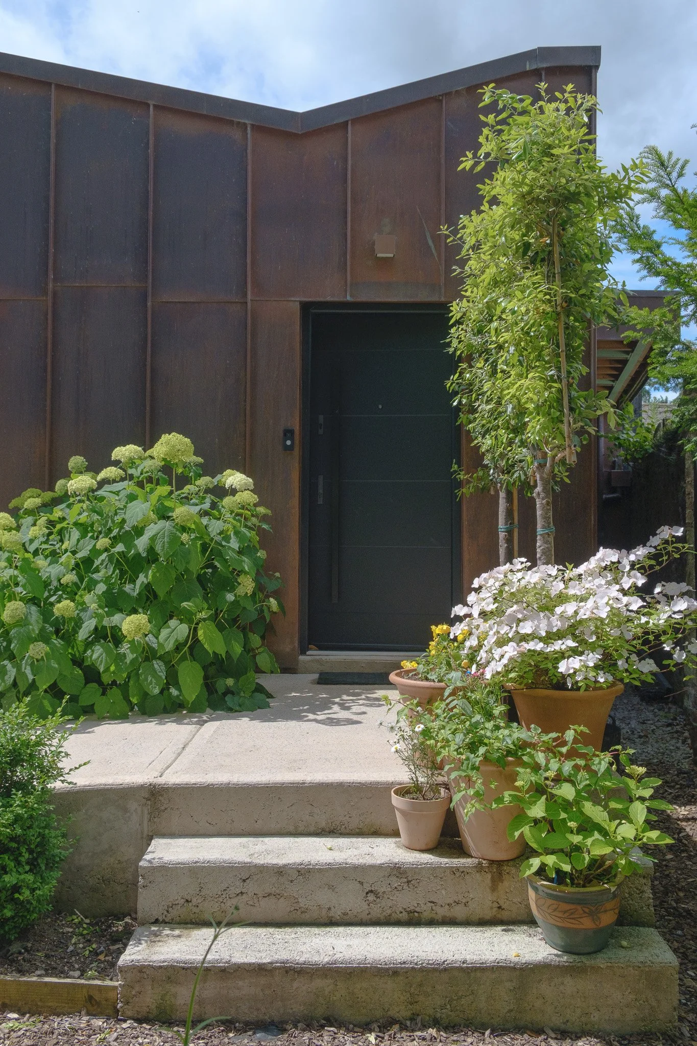DSCF6551.jpg