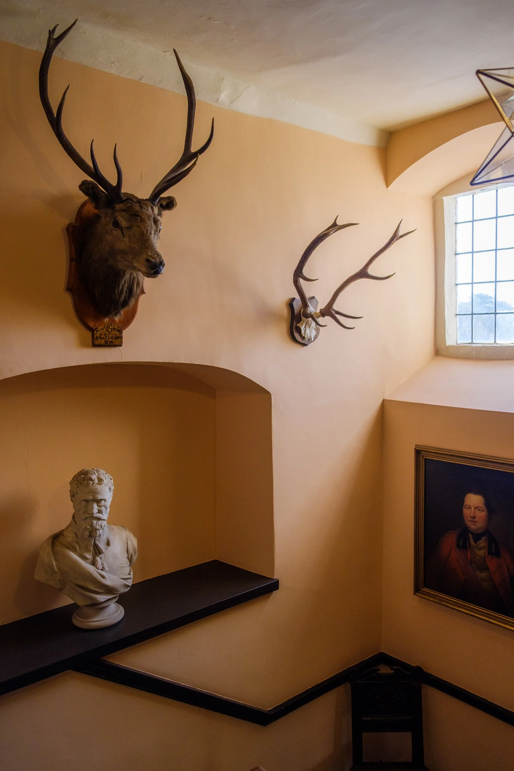 Interior view with a mounted deer head and antlers on the wall, a classical bust sculpture on a black shelf, a framed portrait of a man, and a window with natural light.