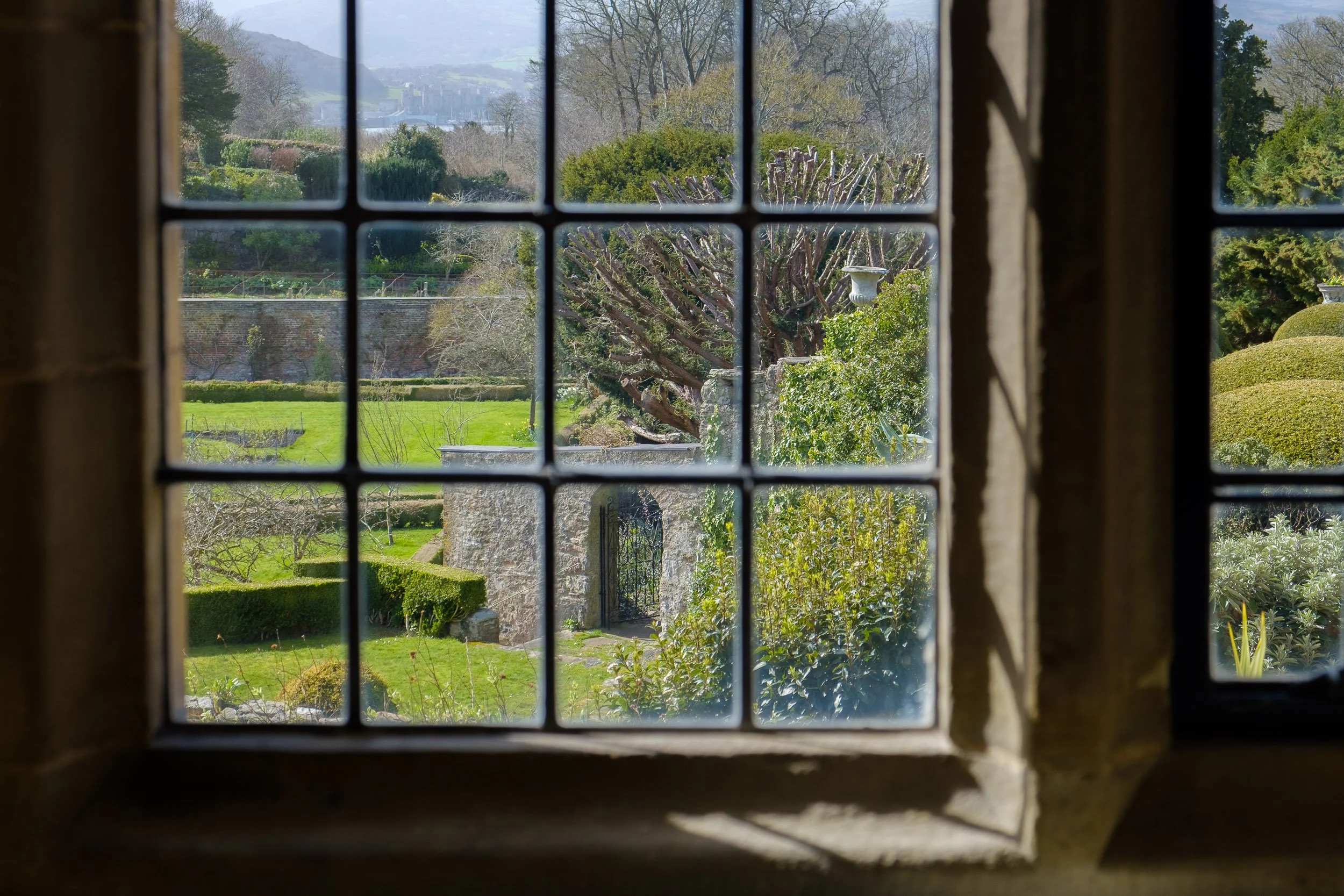 View of a lush garden with neatly trimmed bushes, a large tree, and stone structures, seen through a small, square-pane window.