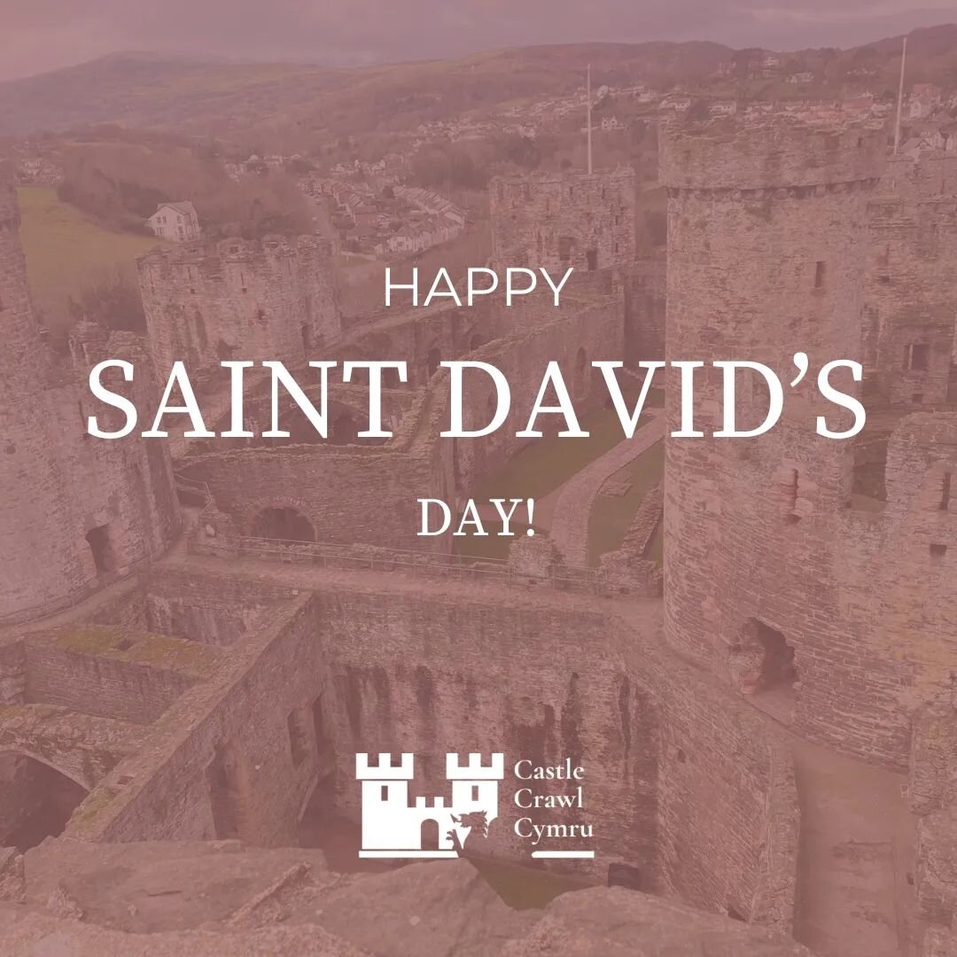 Dydd Gwyl Dewi Hapus pawb! Happy Saint David's Day everyone! 
Here at castle crawl cymru we are celebrating the annual festival with a brand new blog post about Cardigan Castle! What better castle to talk about today than one who's claim to fame is h