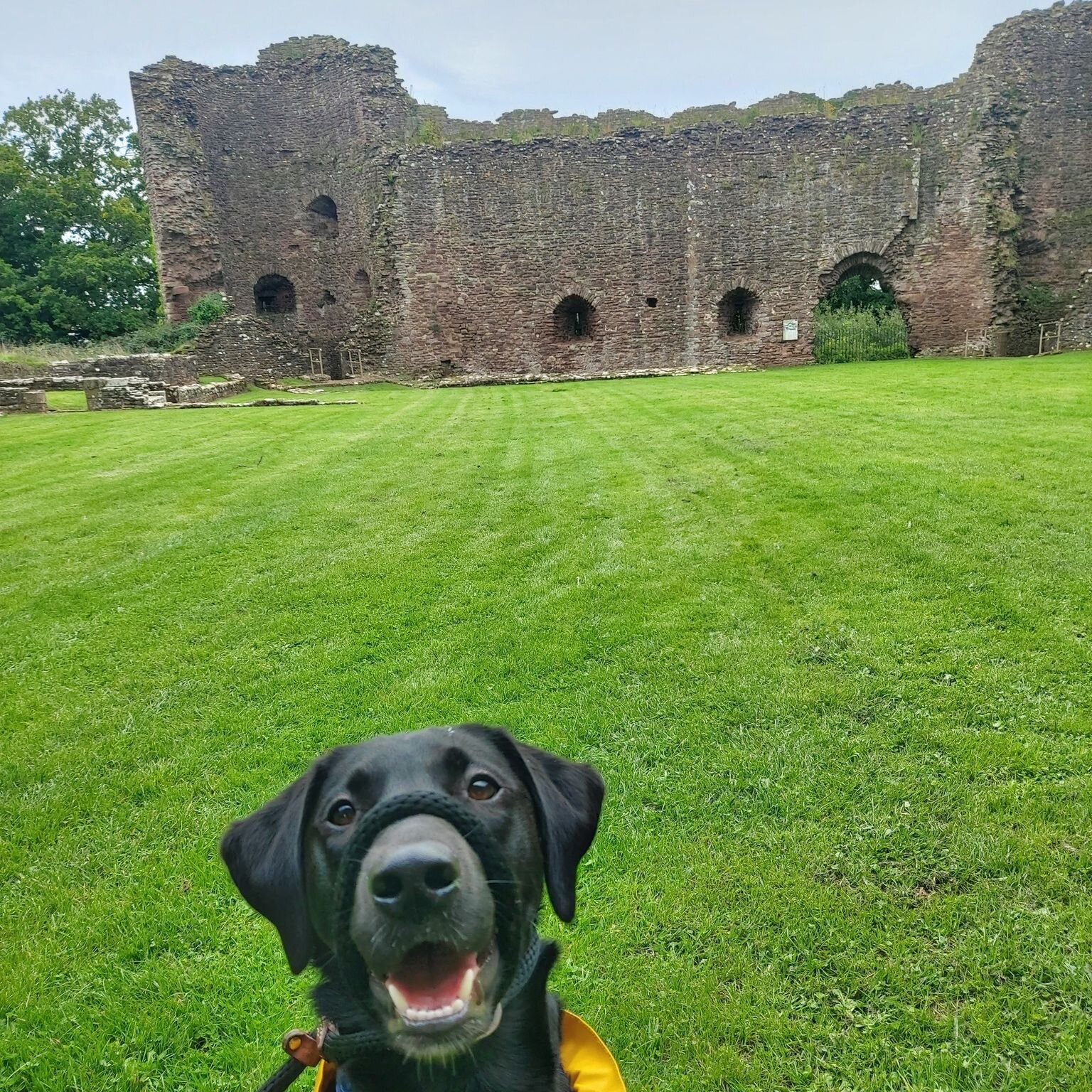 Professor Herman has been out surveying a new castle this weekend! White Castle, near Abergavenny is the largest of The Three Castles (Including Skenfrith, Grosmont &amp; White Castle).
If you're around Abergavenny he recommends a stop. It can be acc